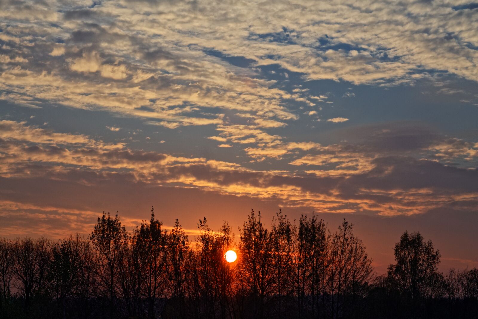 Canon EOS 1100D (EOS Rebel T3 / EOS Kiss X50) sample photo. Sunset, trees, clouds photography