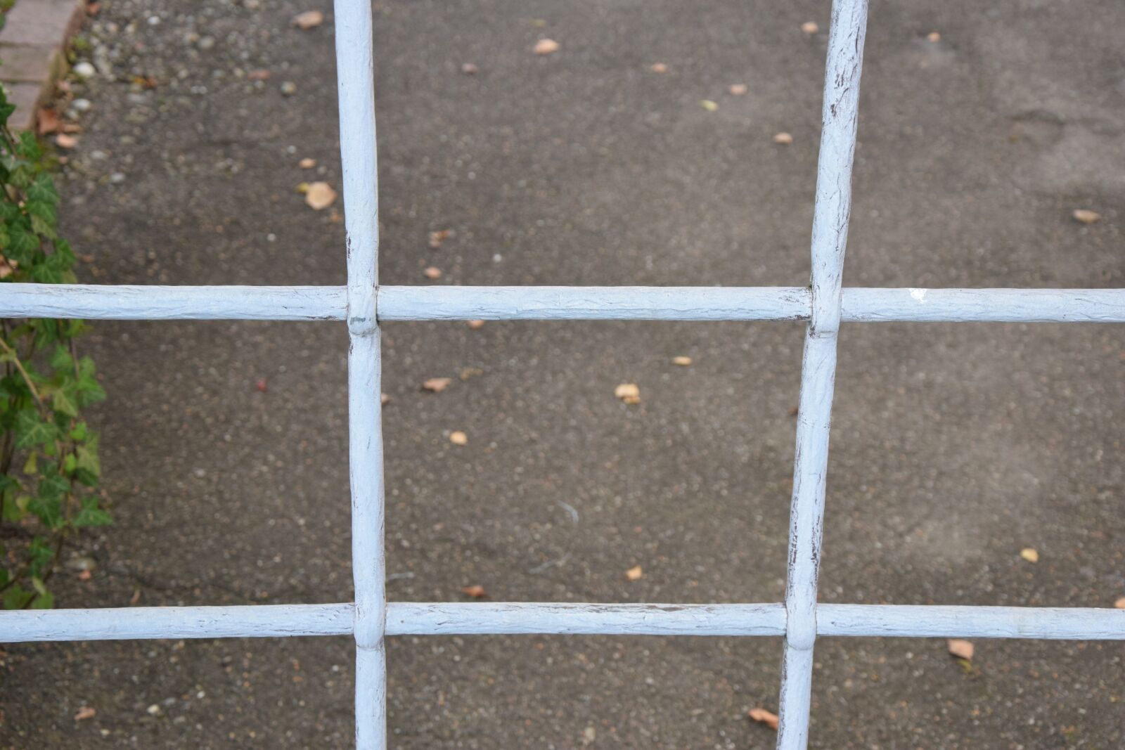 Nikon D5300 sample photo. Grid, barrier, metal photography