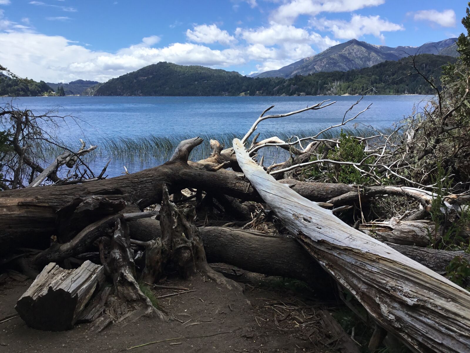Apple iPad (5th generation) sample photo. Lake, mountain, wood photography