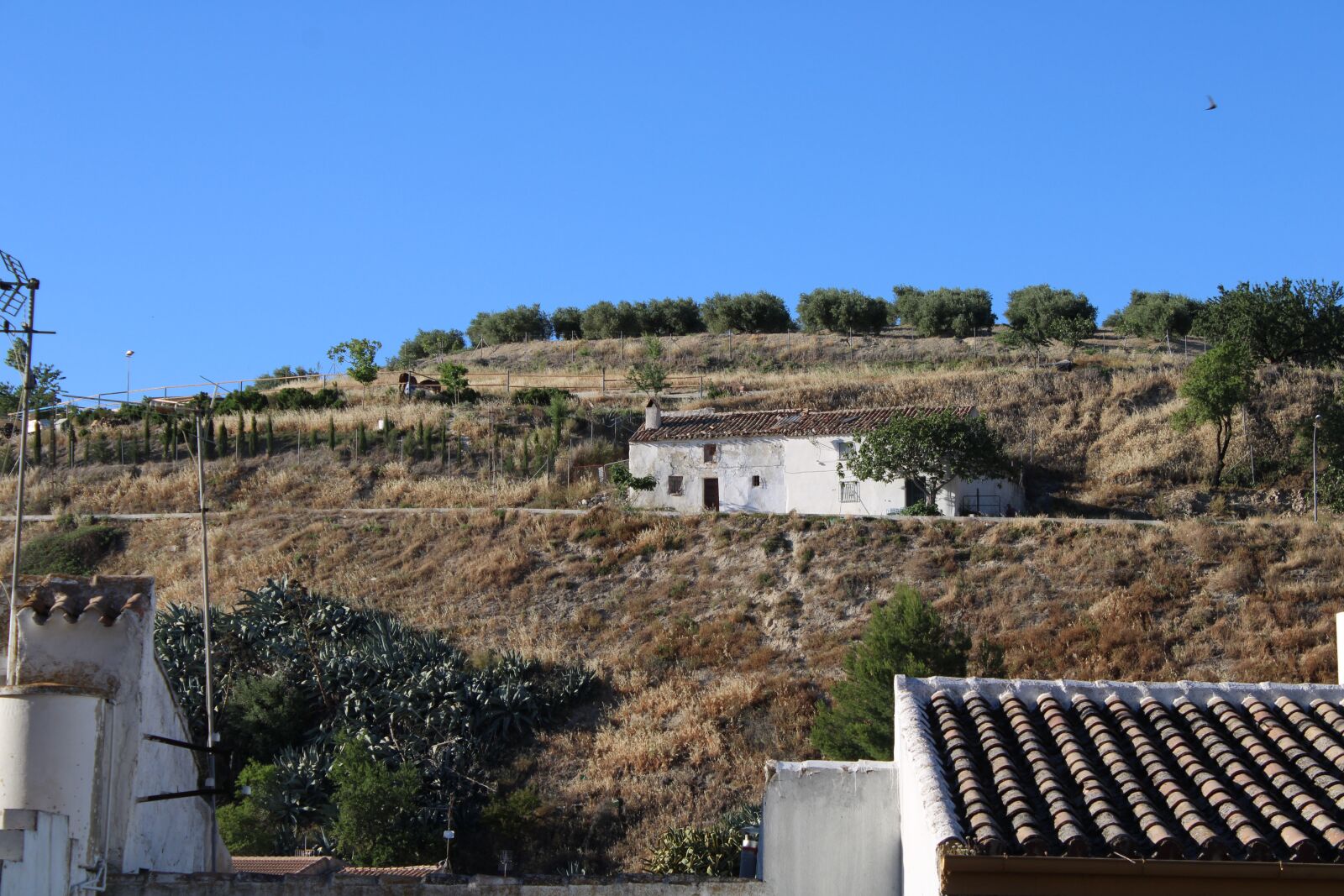 Canon EOS 2000D (EOS Rebel T7 / EOS Kiss X90 / EOS 1500D) sample photo. House, landscape, martos photography