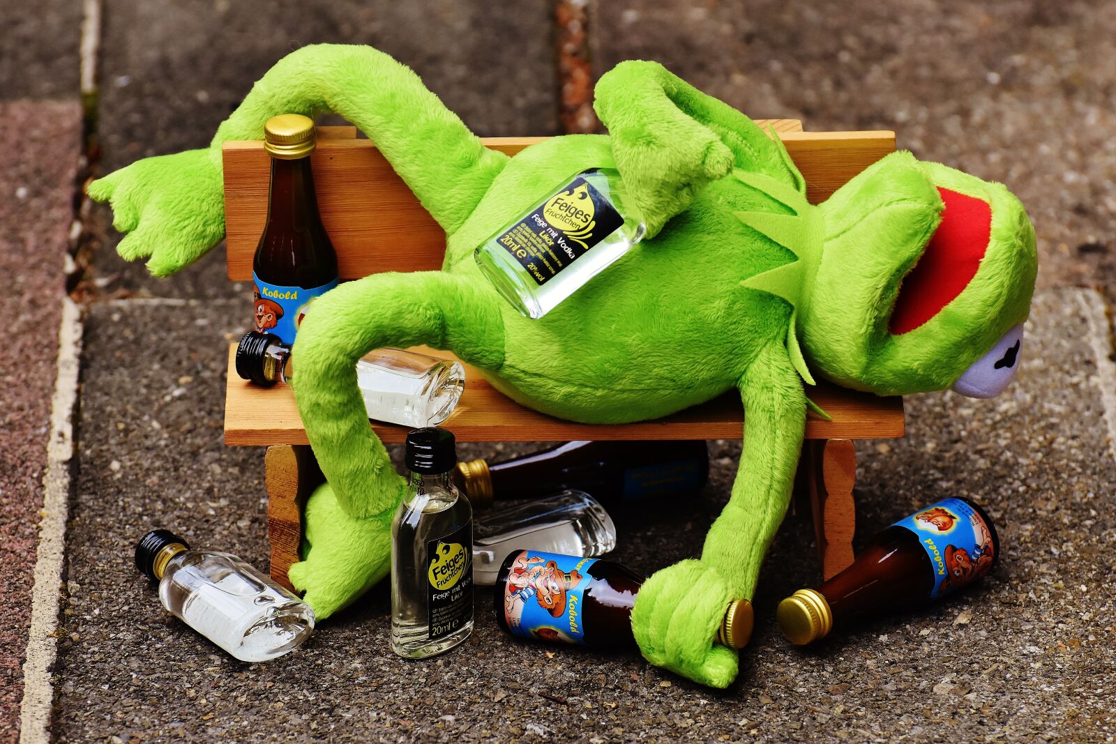 Nikon D7200 sample photo. Kermit, frog, drink photography