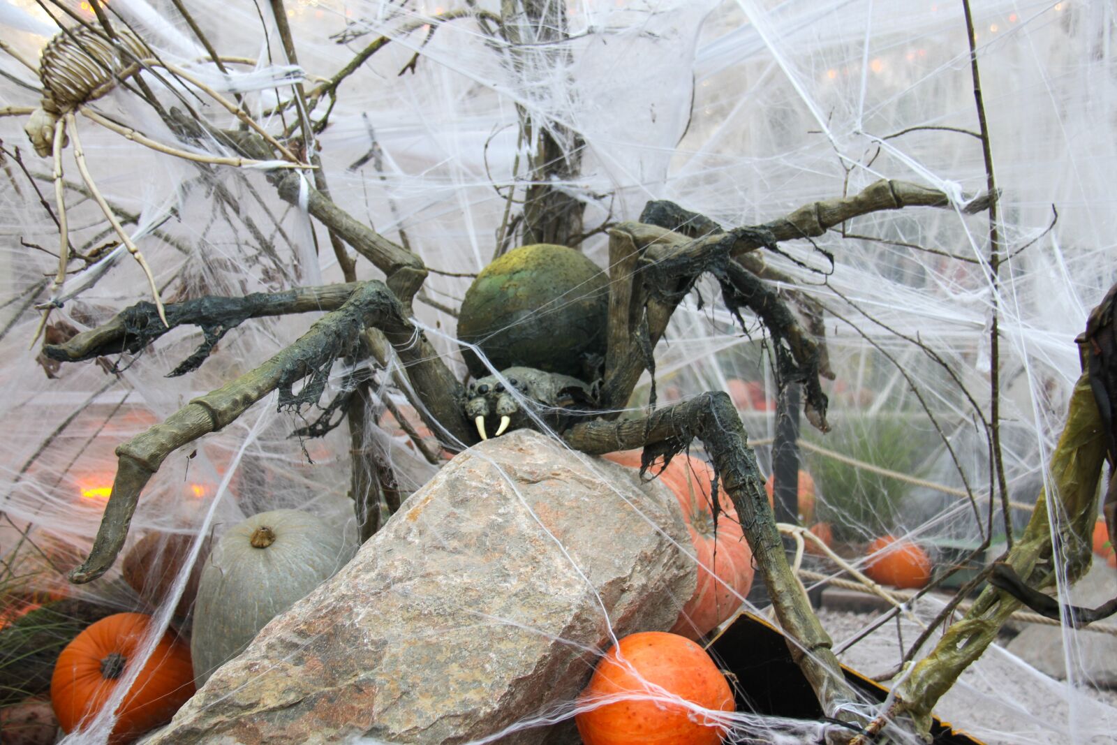 Canon EOS 7D sample photo. Spider, halloween, decoration photography