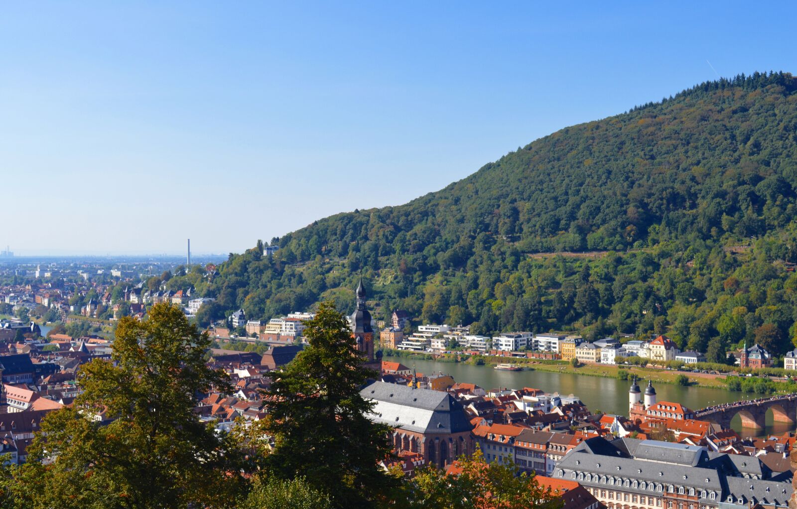 Nikon D3200 sample photo. Heidelberg, city, historically photography
