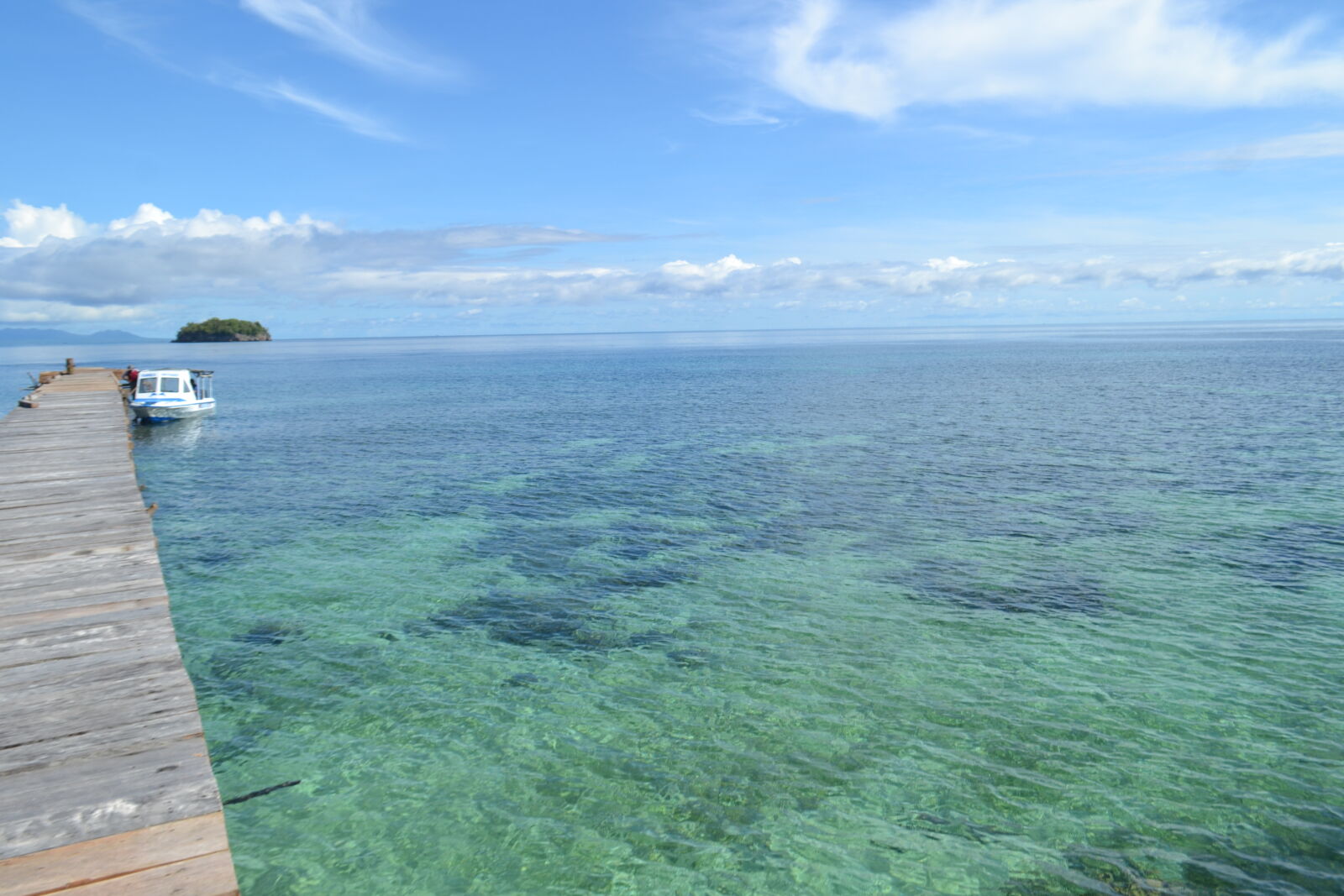 Nikon D3100 sample photo