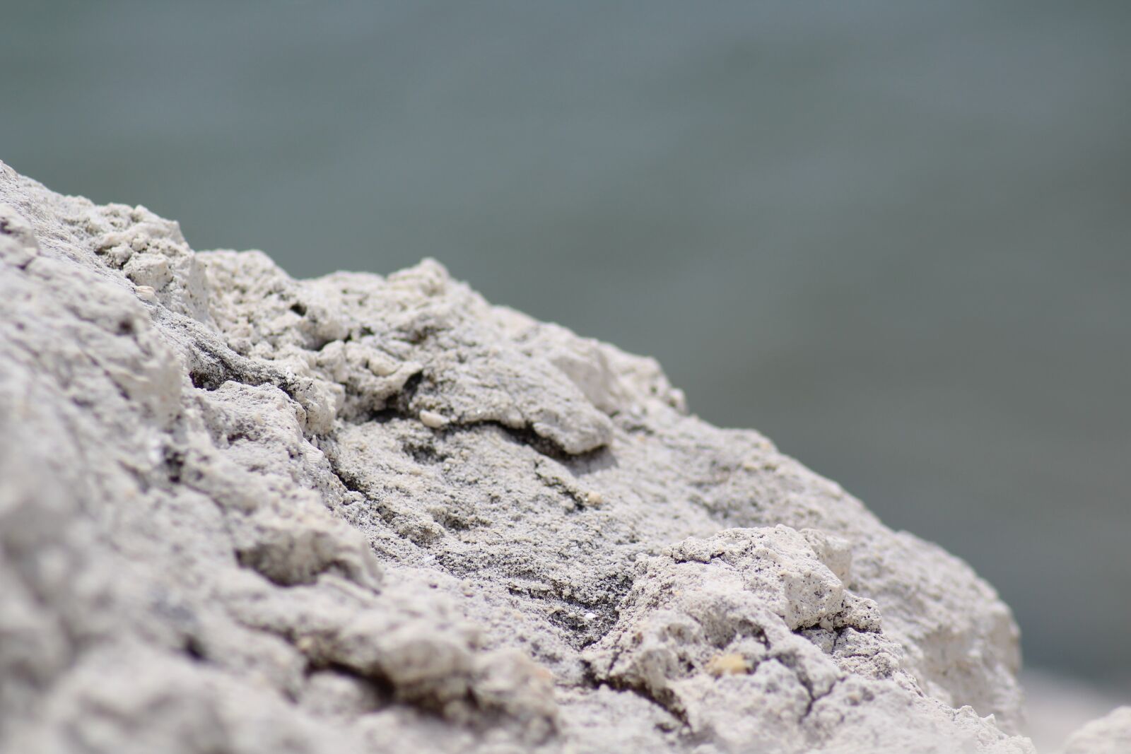 Canon EOS 1200D (EOS Rebel T5 / EOS Kiss X70 / EOS Hi) sample photo. Roche, macro, pierre photography