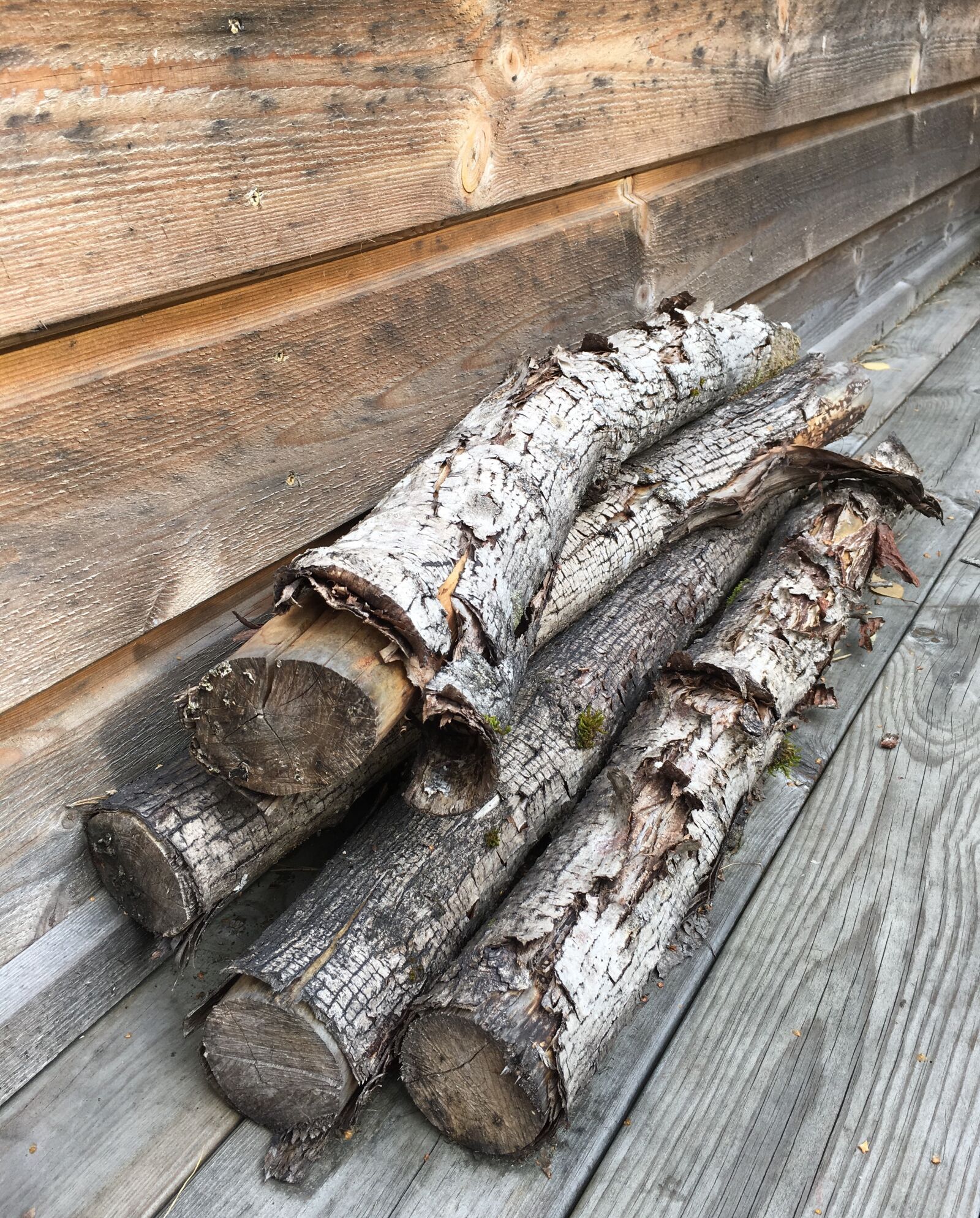 Apple iPhone 6s Plus sample photo. By, twig, branch photography