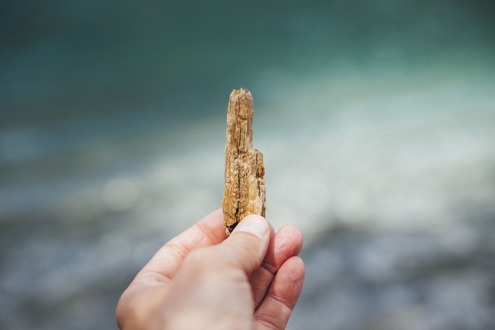 Canon EOS 5D Mark III sample photo. Drift wood, wood, beach photography