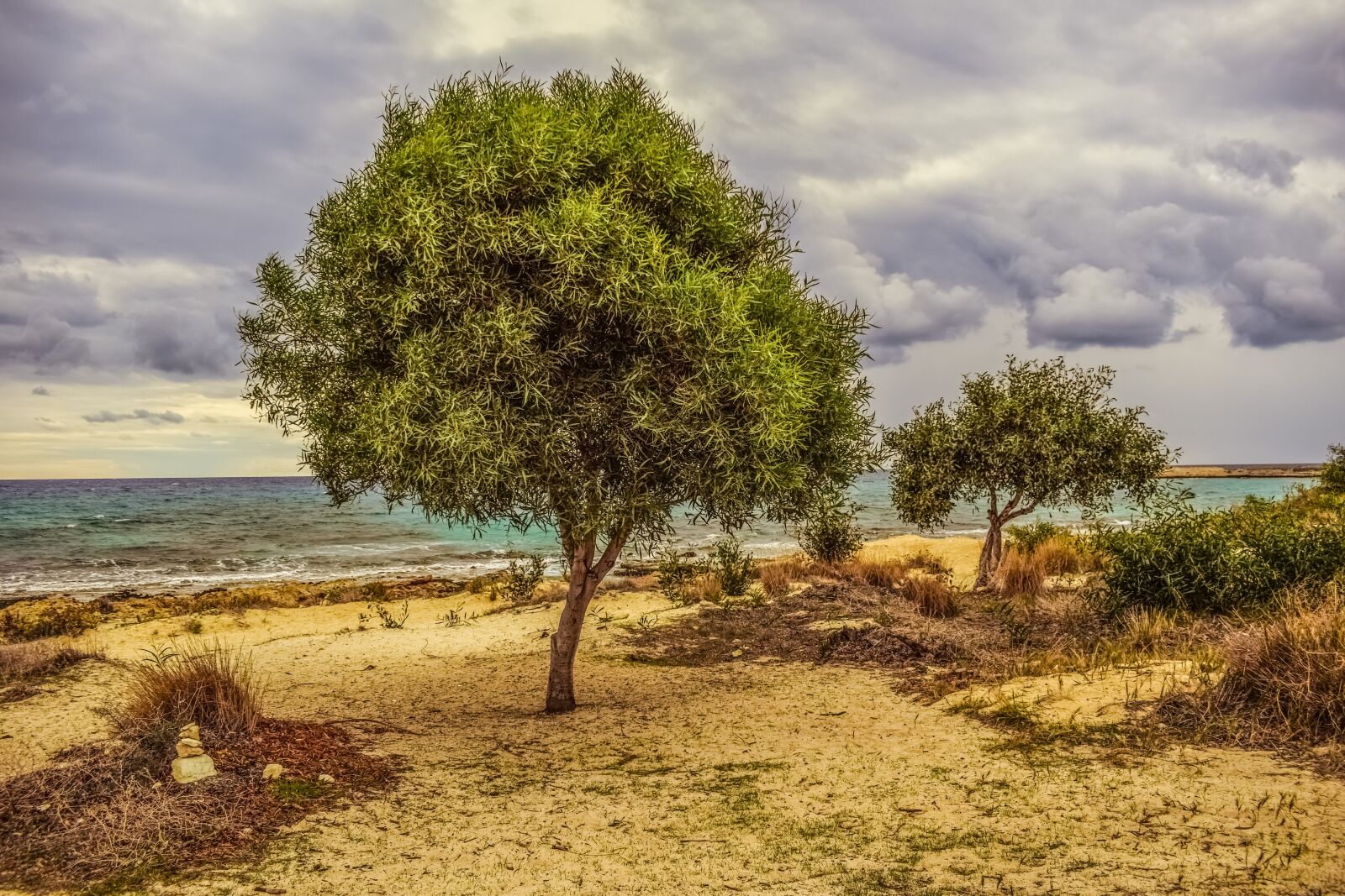 Nikon D3300 sample photo. Tree, dunes, sea photography