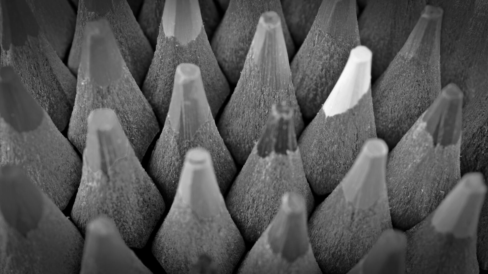 Nikon D5200 sample photo. Colored pencils, black white photography