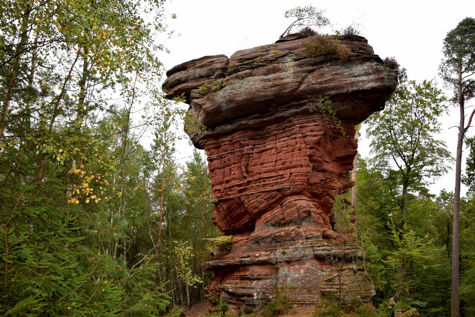 Nikon D5300 sample photo. Sand stone, red, landscape photography