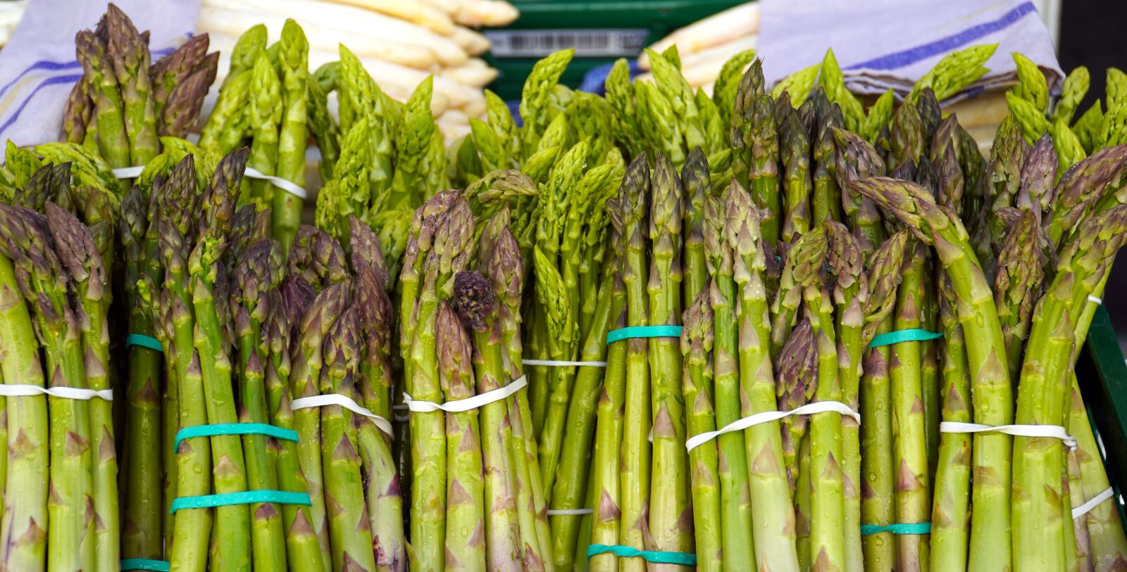 Sony E PZ 18-105mm F4 G OSS sample photo. Asparagus, green, vegetables photography