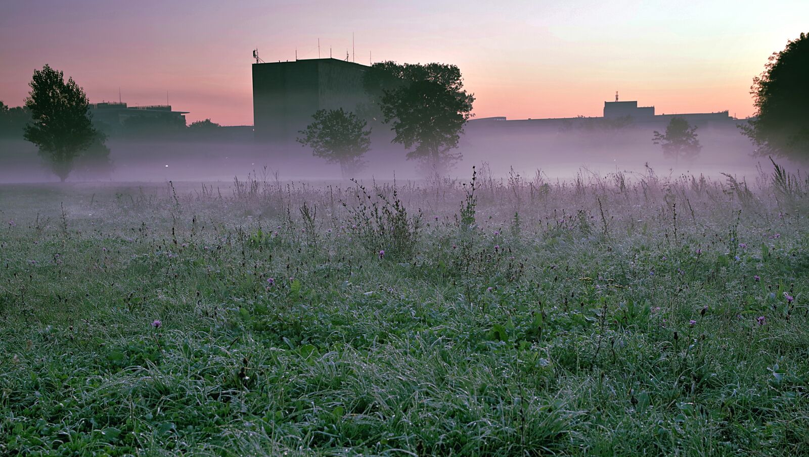 Pentax K-S2 sample photo. The fog, national library photography