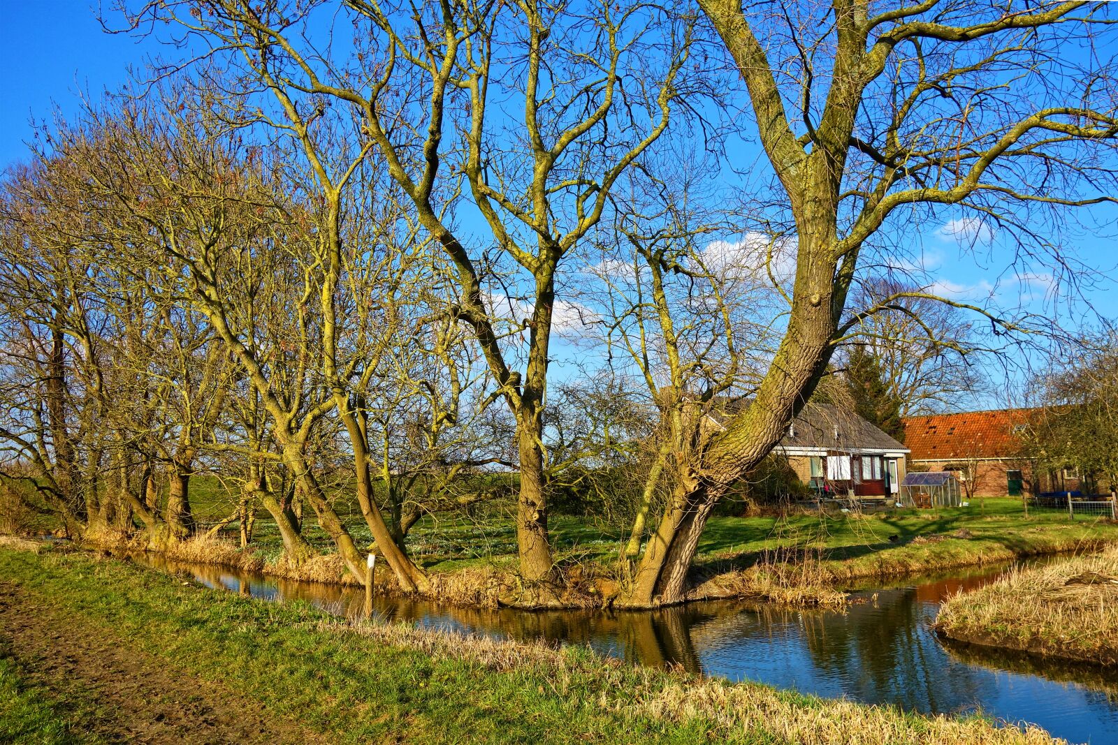 Sony Cyber-shot DSC-RX100 sample photo. Creek, water, trees photography
