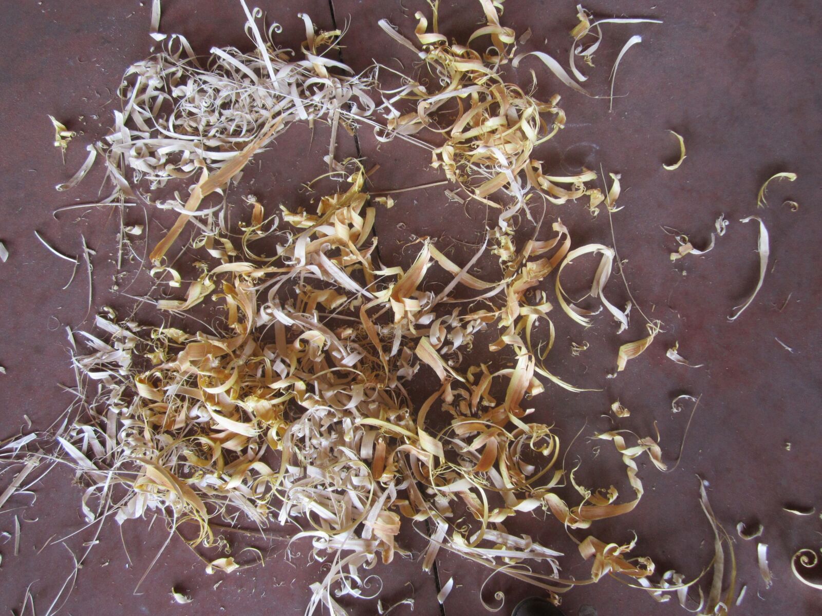 Canon PowerShot A2200 sample photo. Sawdust, soil, textures photography