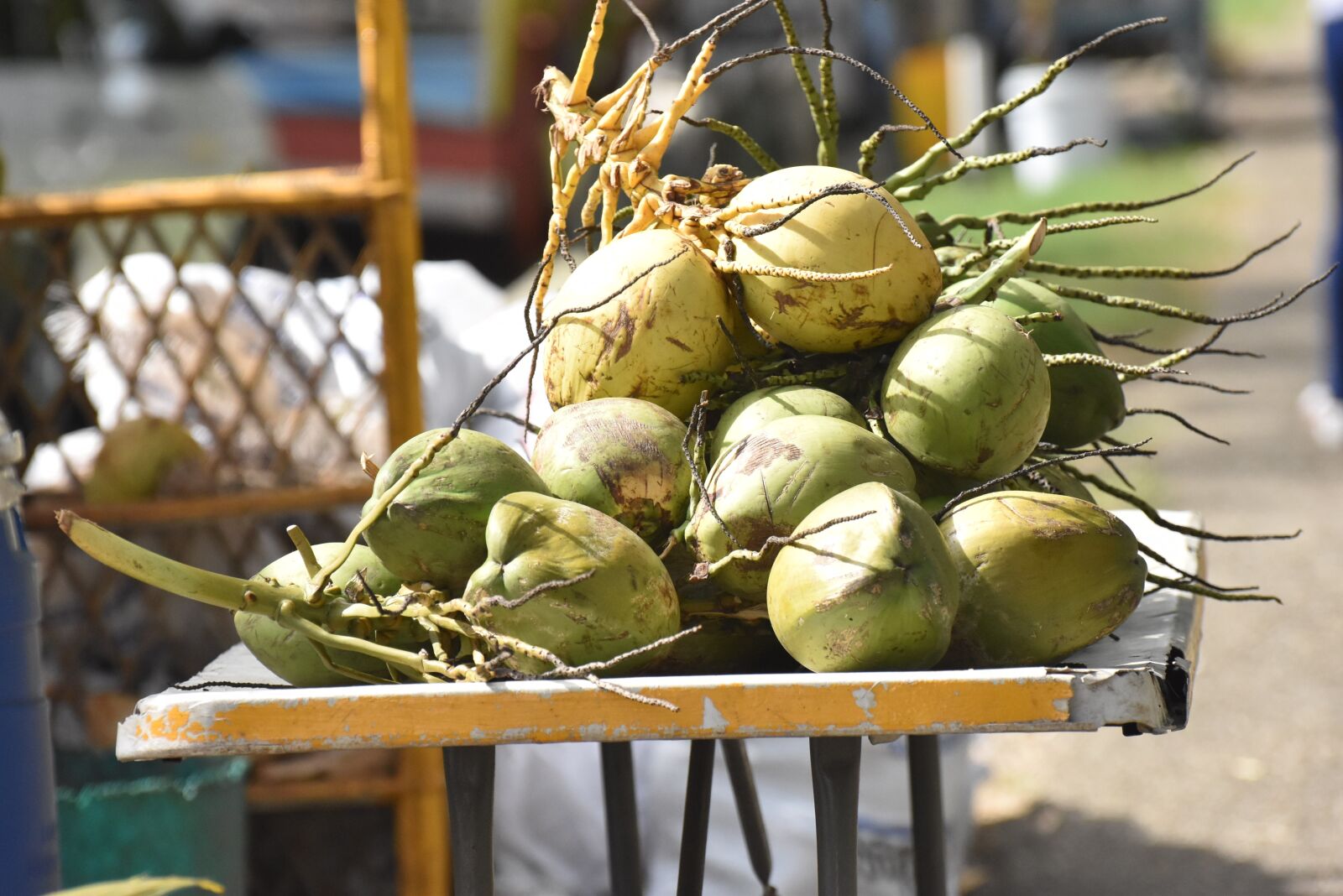 Nikon D5500 sample photo. Coconuts, vendor, raw photography