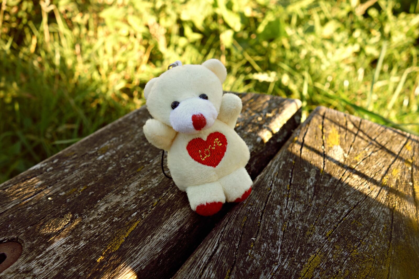 Sony Cyber-shot DSC-RX100 sample photo. Teddy bear, bear, toy photography