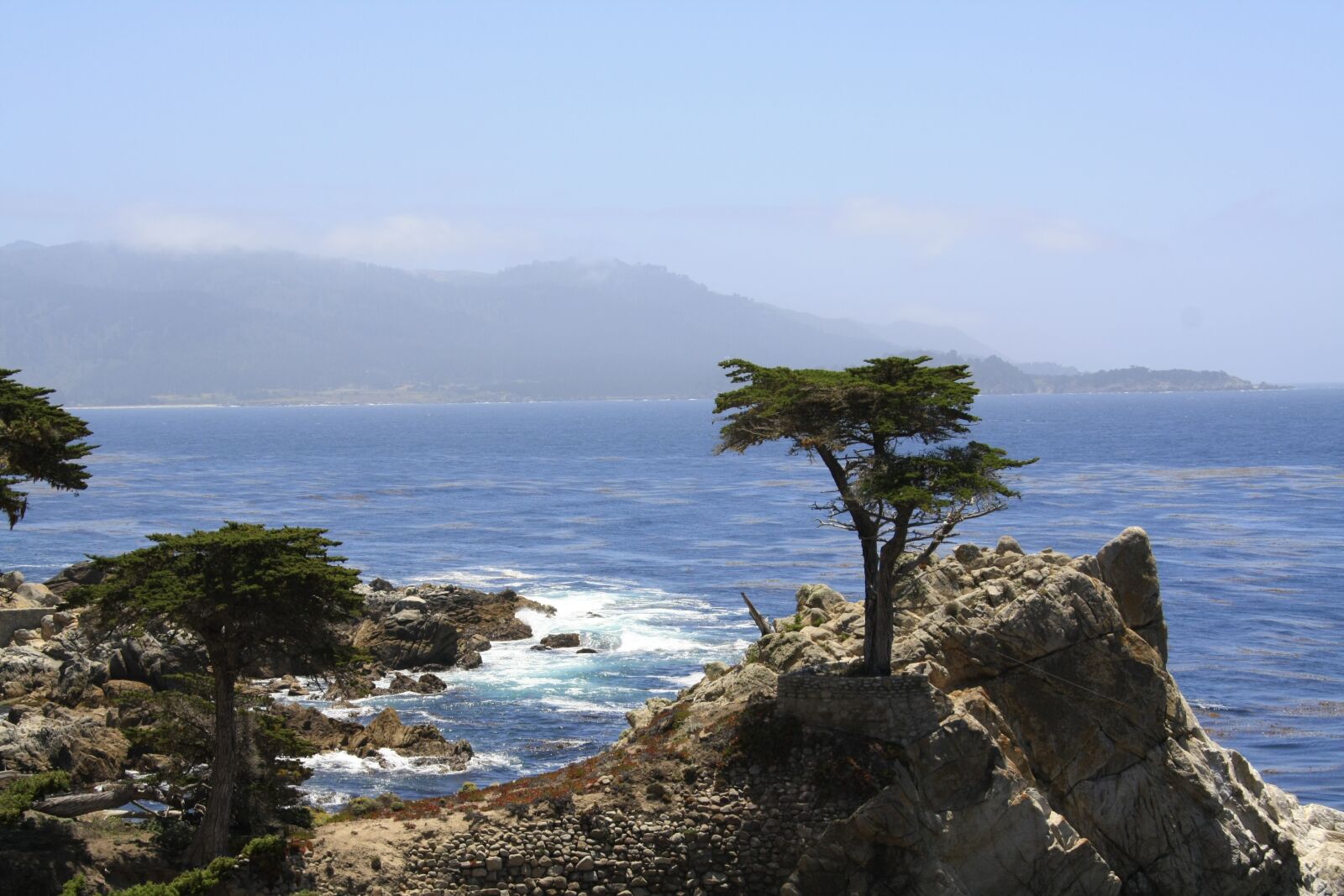 Canon EOS 450D (EOS Rebel XSi / EOS Kiss X2) sample photo. Cypress, tree, coast photography
