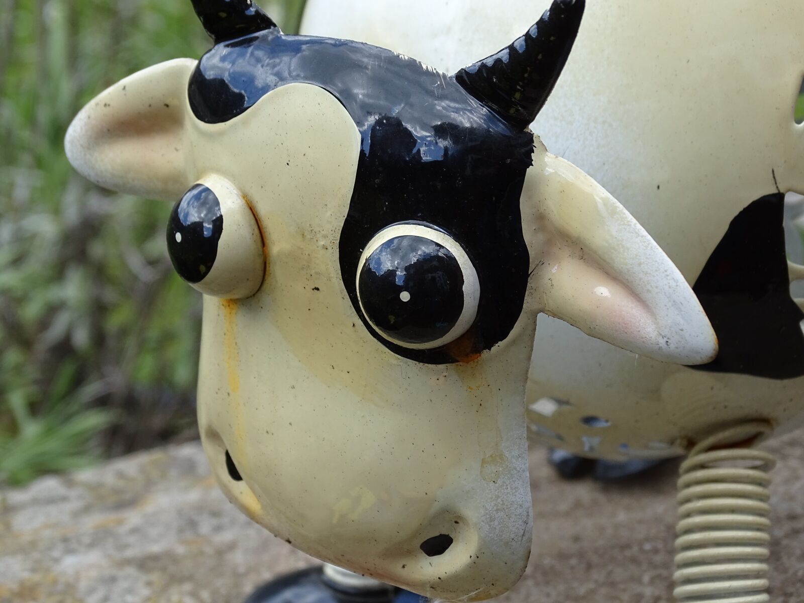 Sony Cyber-shot DSC-HX400V sample photo. Cow, cattle, ornamental photography