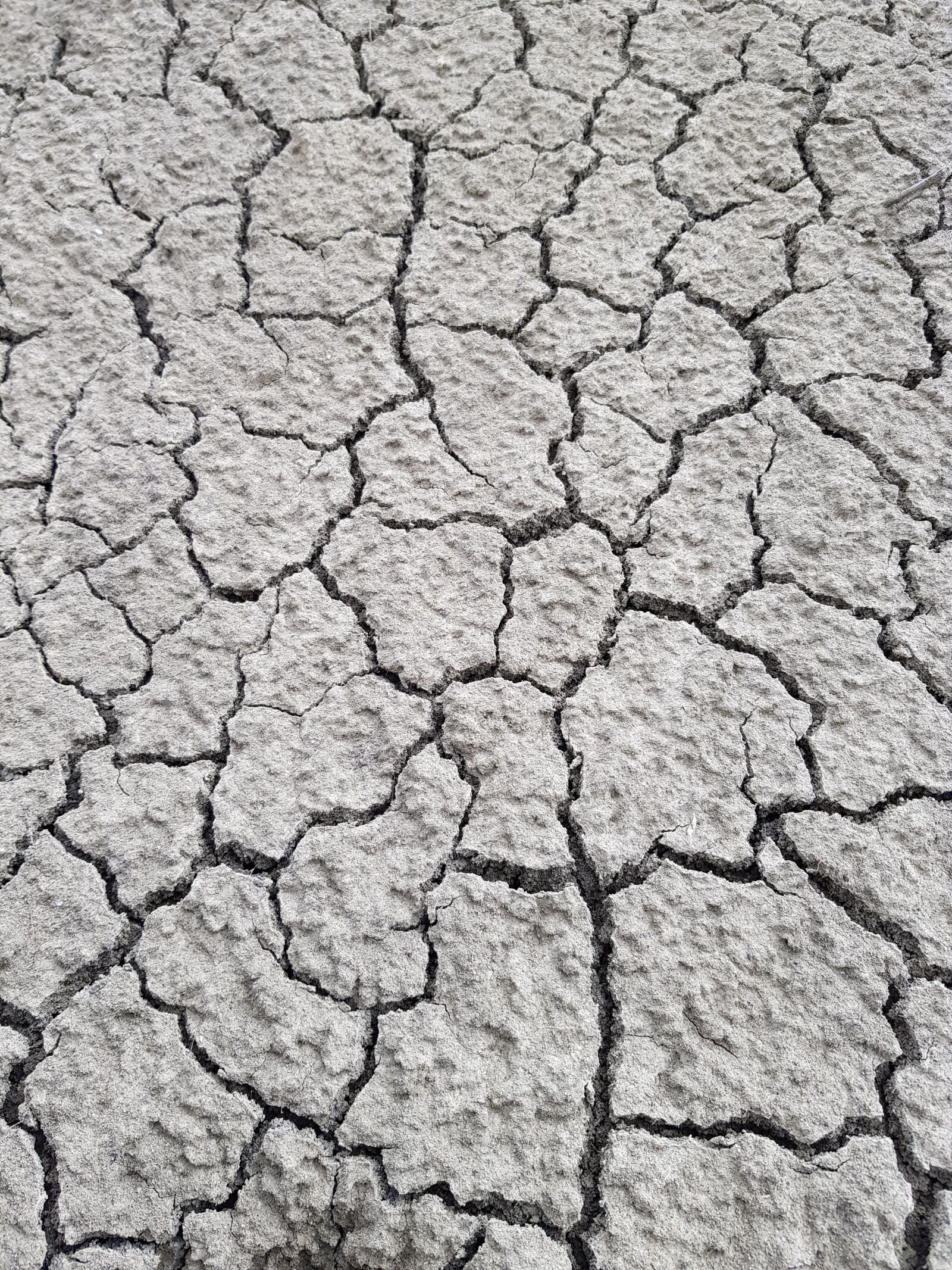 Samsung Galaxy S8+ sample photo. Earth, drought, desert photography