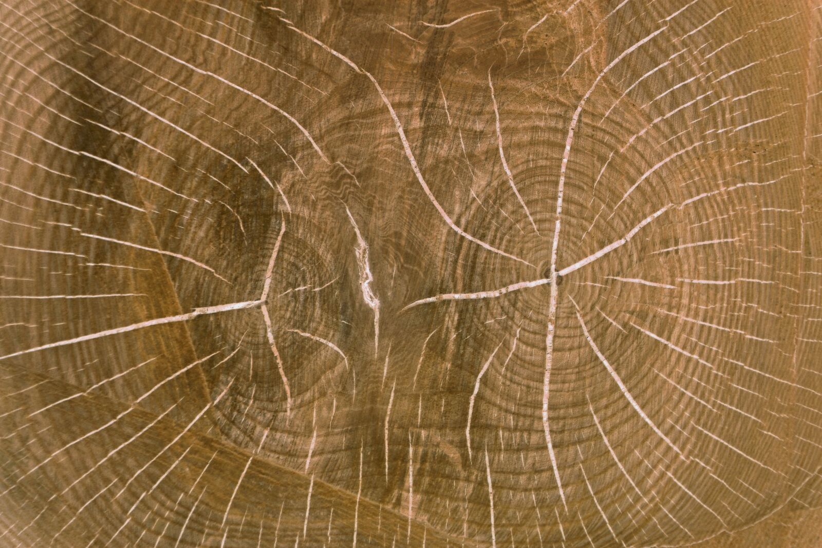 Canon EOS 60D sample photo. Wood, wood board, table photography