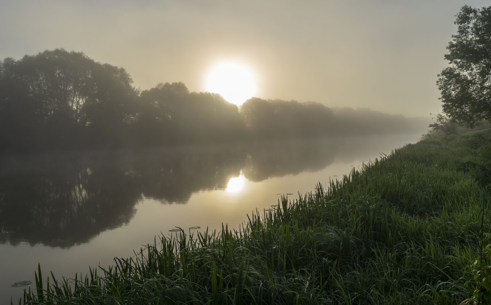 Nikon D3300 sample photo. Nature, landscape, river photography