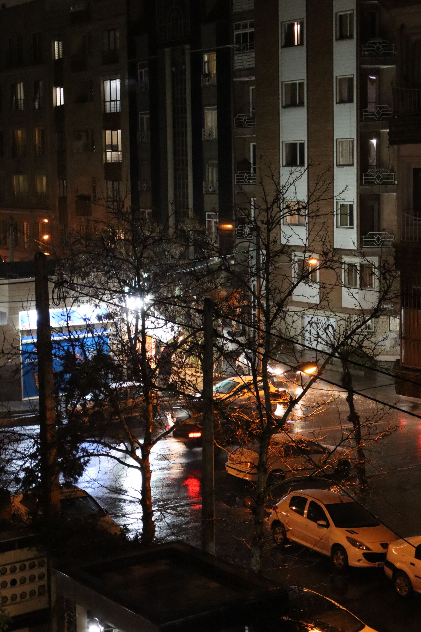 Canon EOS R100 sample photo