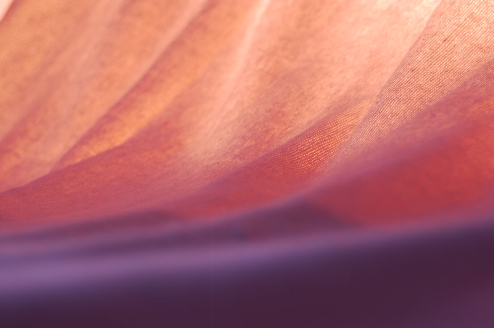 Nikon D50 sample photo. Abstract, texture, pattern photography
