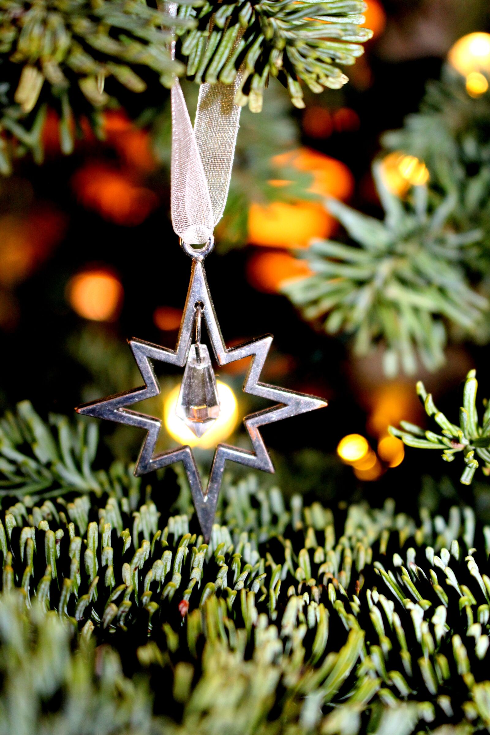 Canon EOS 700D (EOS Rebel T5i / EOS Kiss X7i) sample photo. Christmas, star, holiday photography