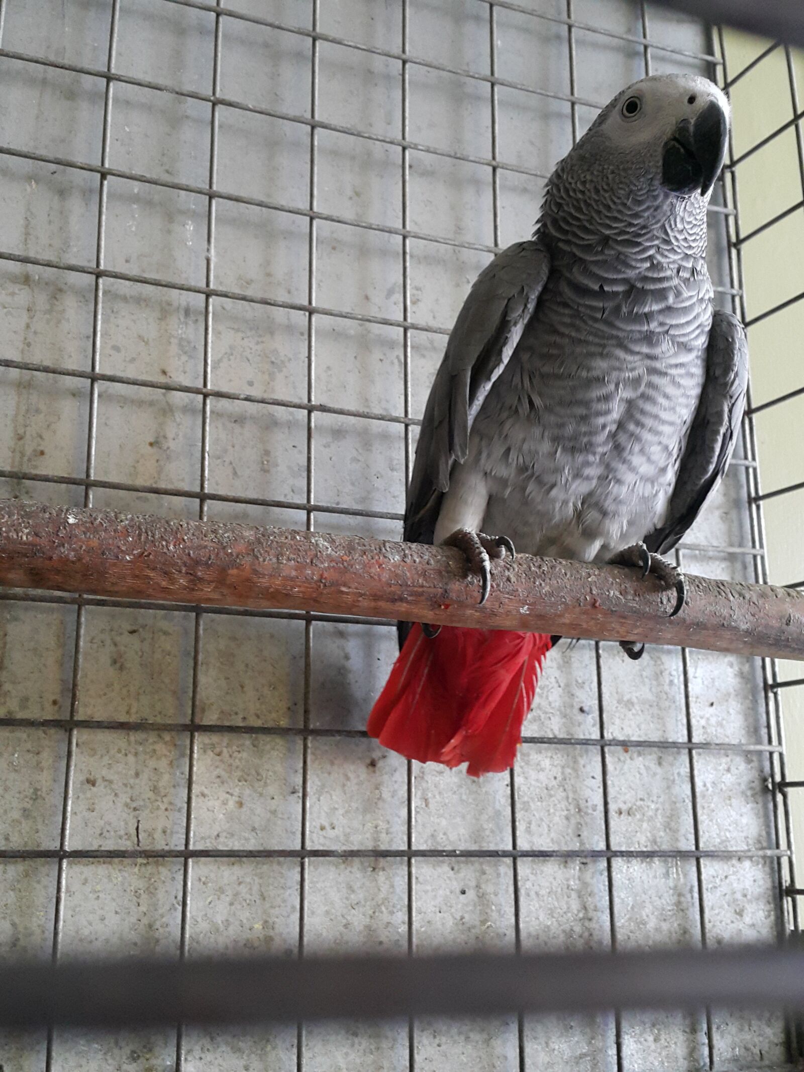 Samsung Galaxy Note4 sample photo