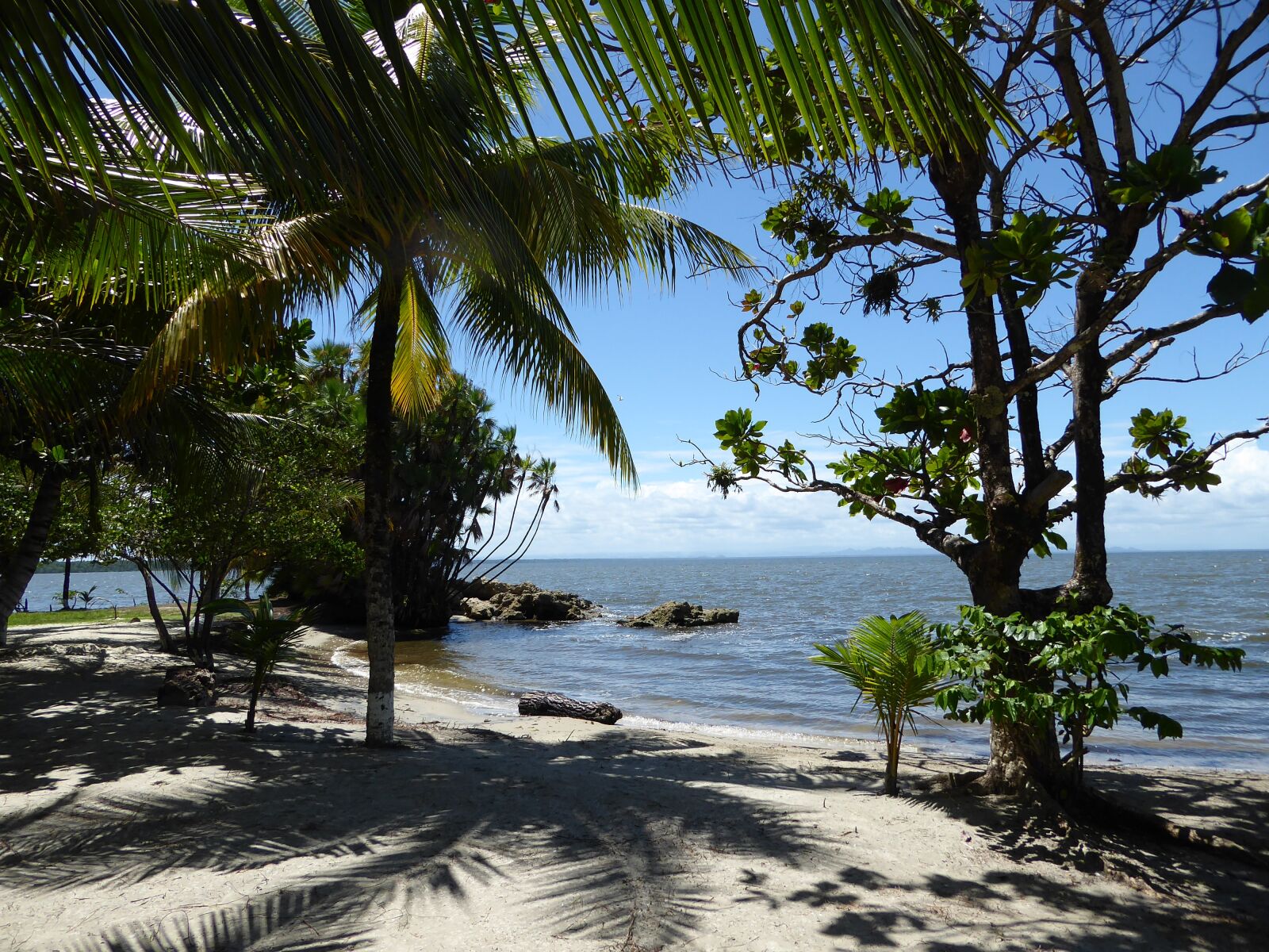 Panasonic Lumix DMC-ZS50 (Lumix DMC-TZ70) sample photo. Beach, caribbean, guatemala photography