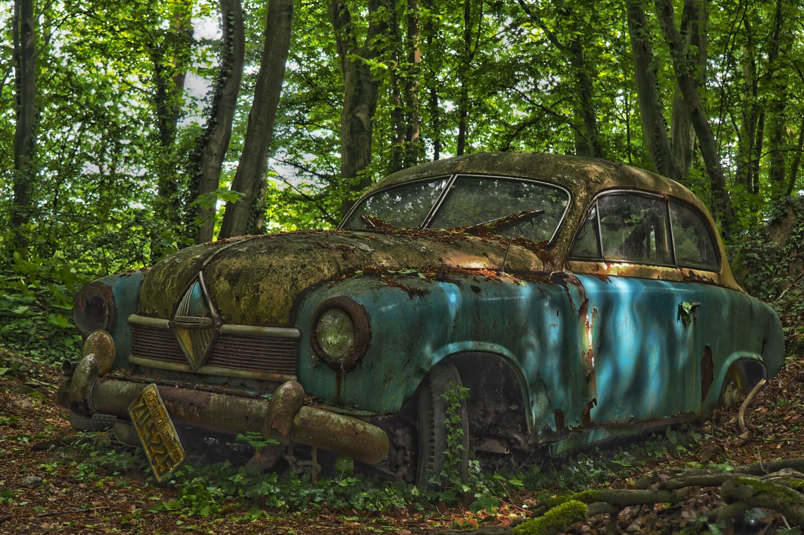 Olympus OM-D E-M10 sample photo. Auto, car cemetery, oldtimer photography