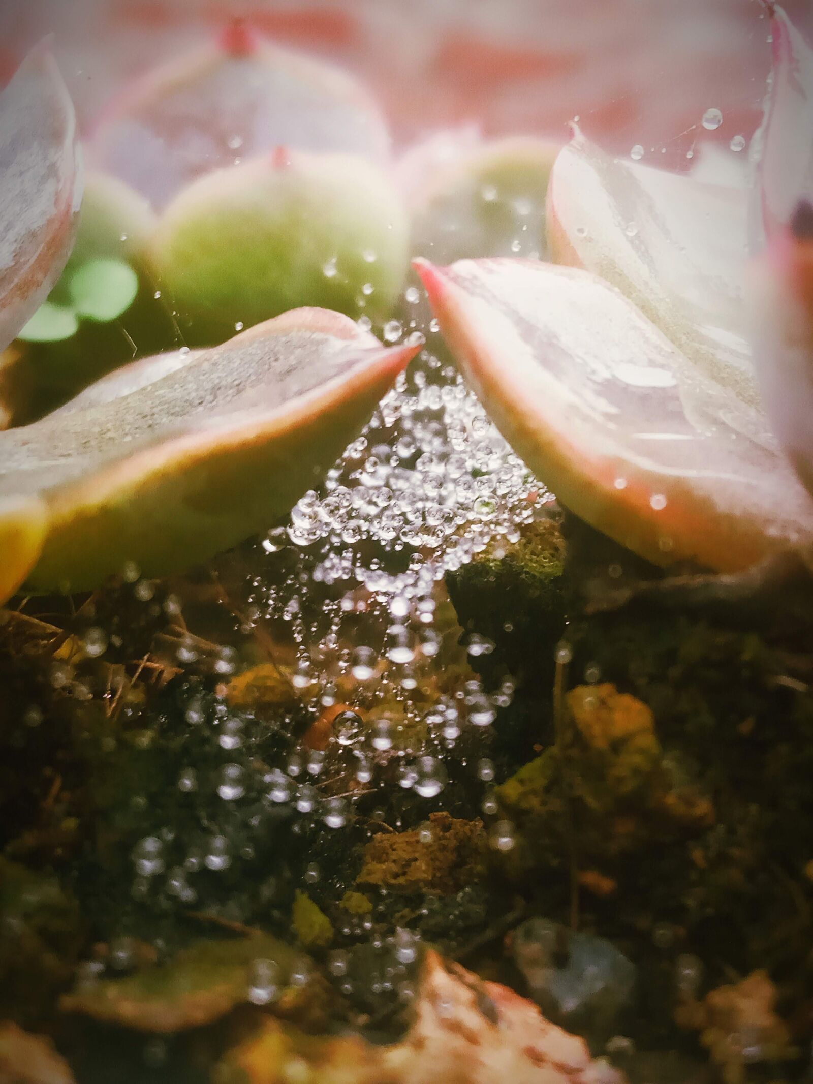 Xiaomi Redmi 6A sample photo. Nước, đá, gỗ photography