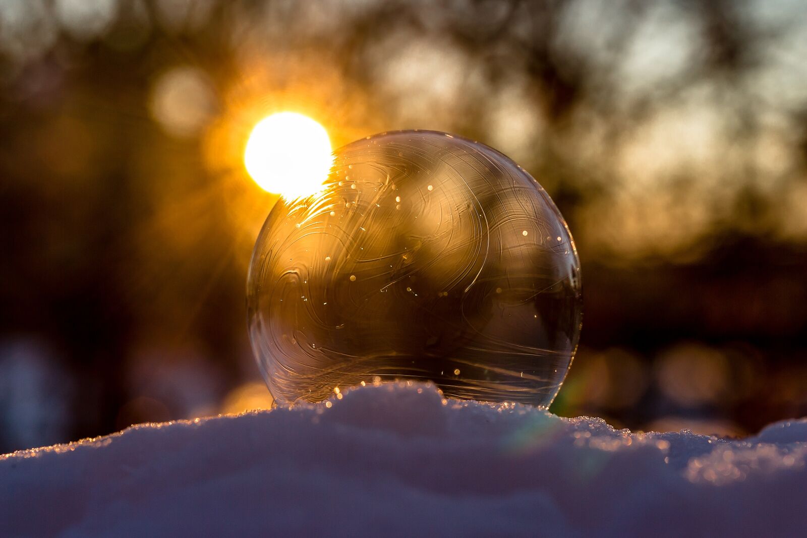 Canon EOS 650D (EOS Rebel T4i / EOS Kiss X6i) sample photo. Frozen bubble, soap bubble photography