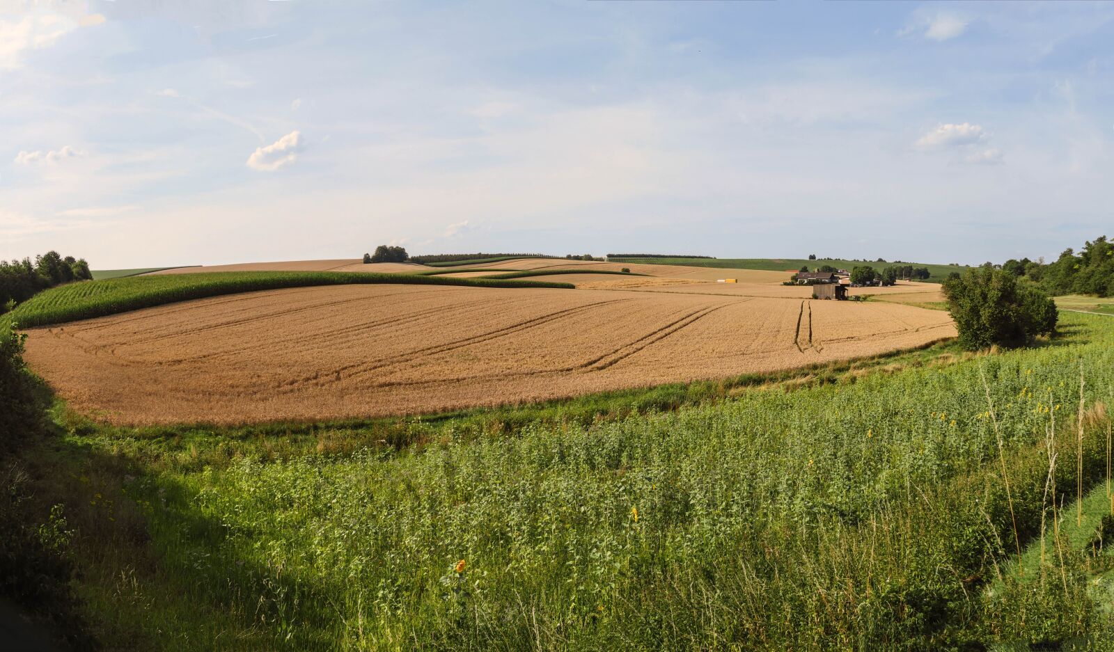 Panasonic Lumix DMC-GX8 sample photo. Agriculture, fields, grain photography