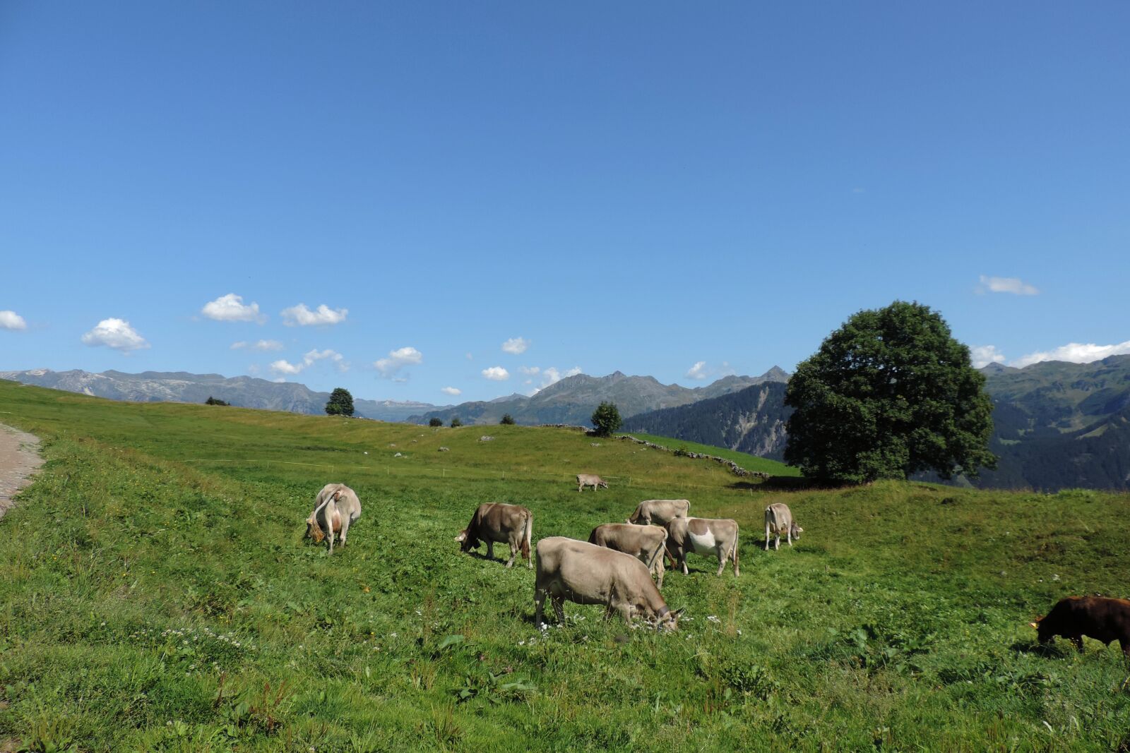 Nikon Coolpix P520 sample photo. Switzerland, alps, landscape photography