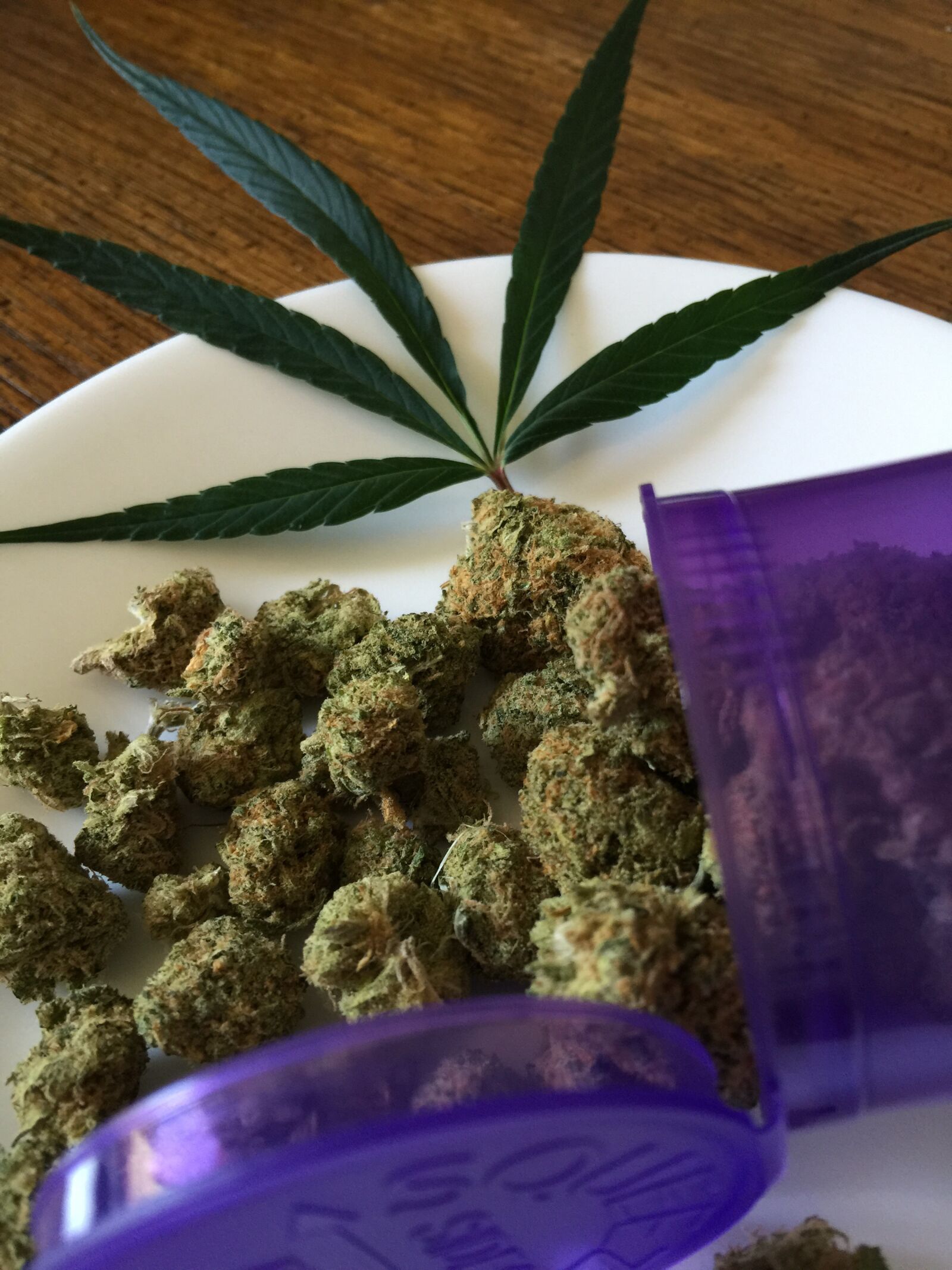 iPhone 6 Plus back camera 4.15mm f/2.2 sample photo. Cannabis sativa, marijuana, cannabis photography