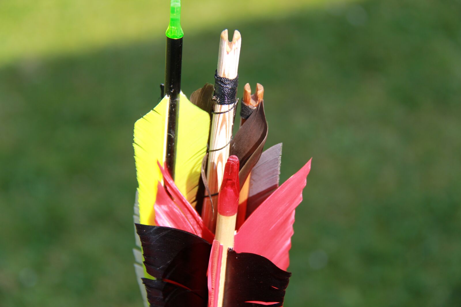 Canon EF-S 18-200mm F3.5-5.6 IS sample photo. Archery, arrow, sport photography