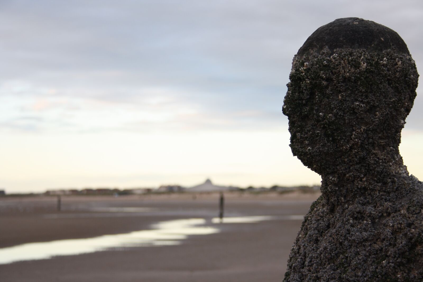 Canon EOS 1000D (EOS Digital Rebel XS / EOS Kiss F) sample photo. Crosby, beach, liverpool photography