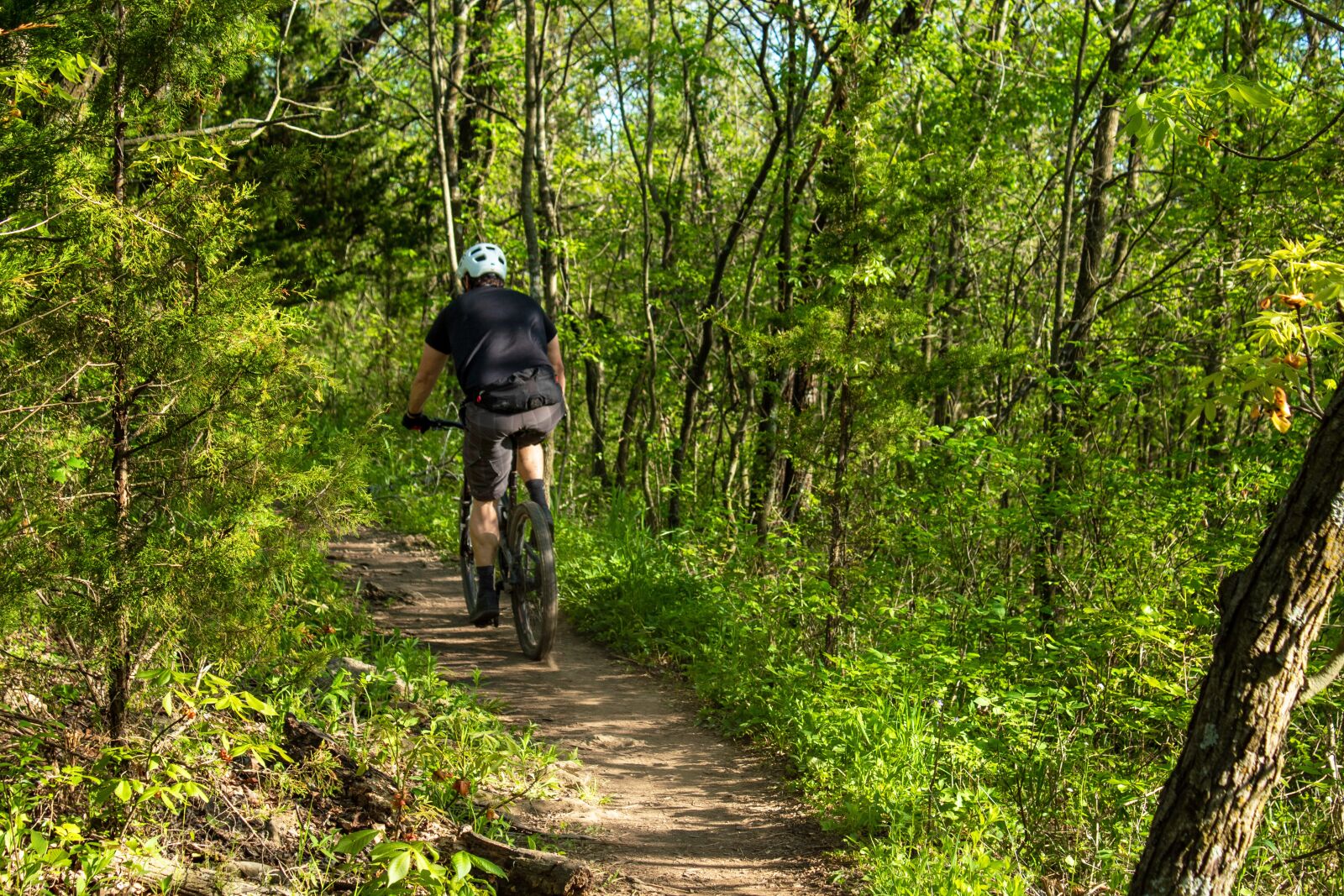Canon EOS 1300D (EOS Rebel T6 / EOS Kiss X80) sample photo. Cyclist, trail, bike photography