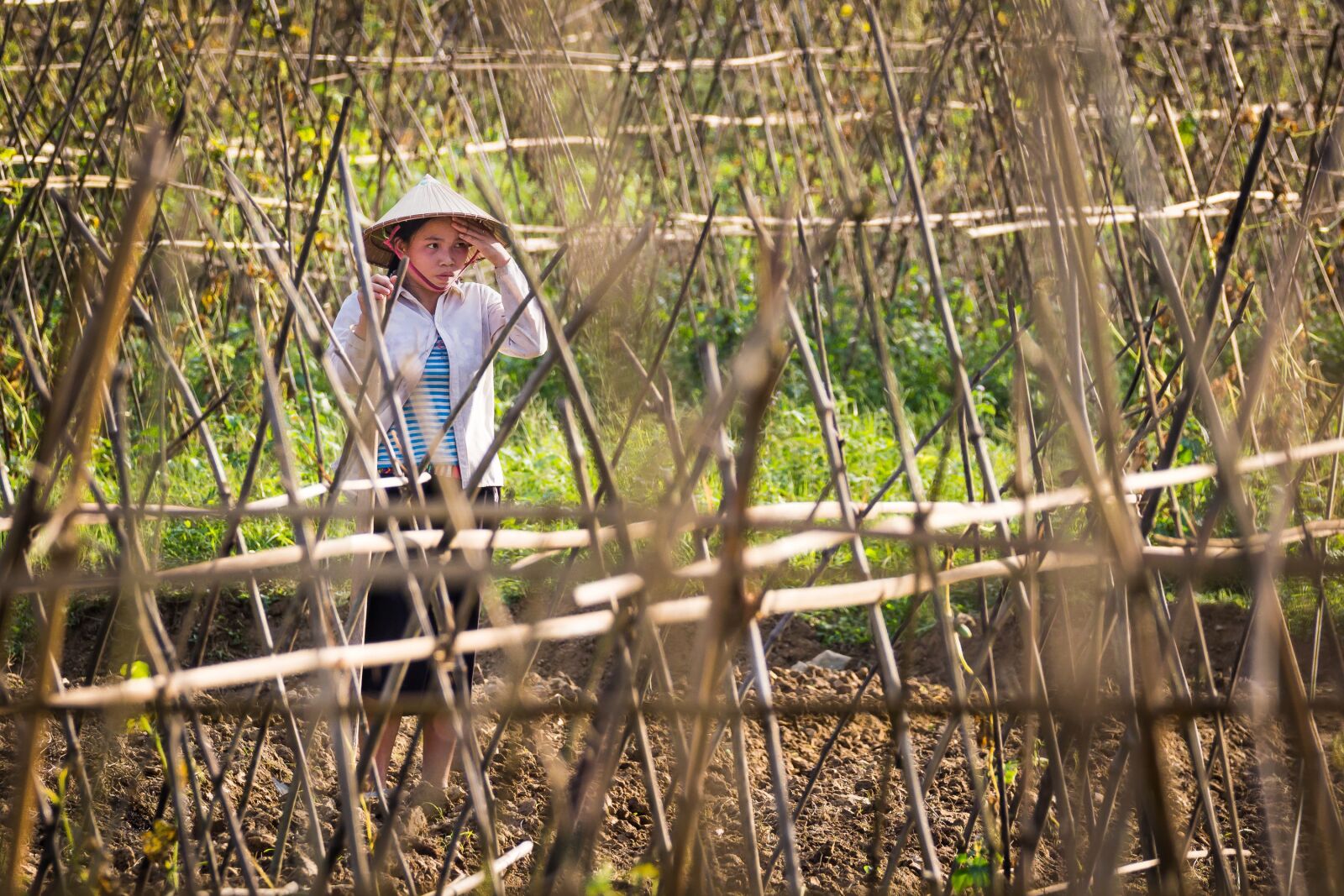 Canon EOS 600D (Rebel EOS T3i / EOS Kiss X5) sample photo. Woman, work, farm photography
