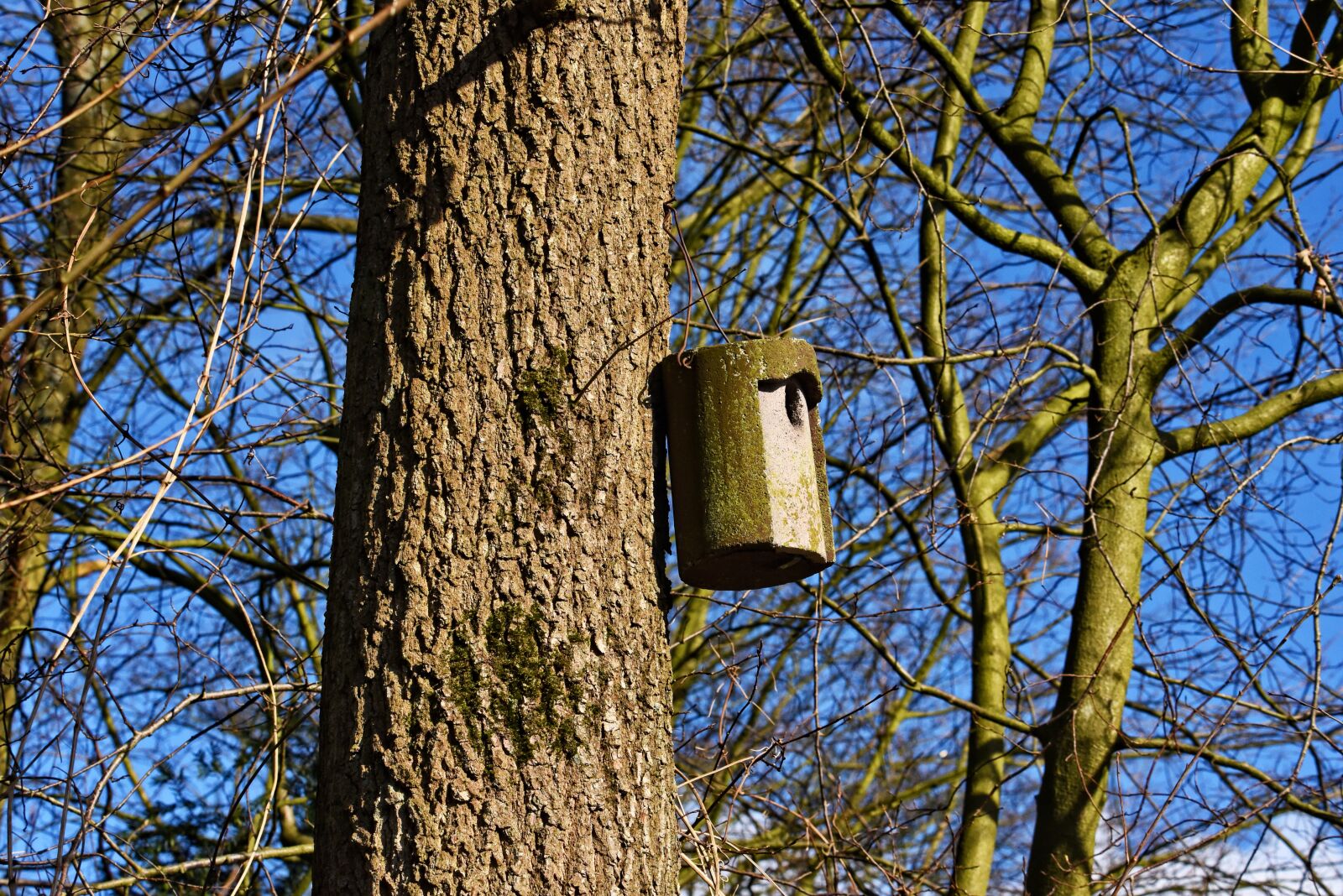 Nikon D750 sample photo. Nesting box, bird house photography