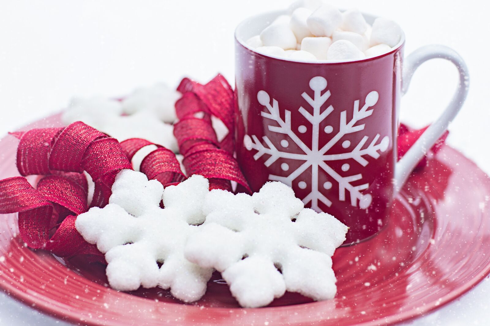 Canon EF 50mm F1.4 USM sample photo. Hot chocolate, cocoa, cookies photography