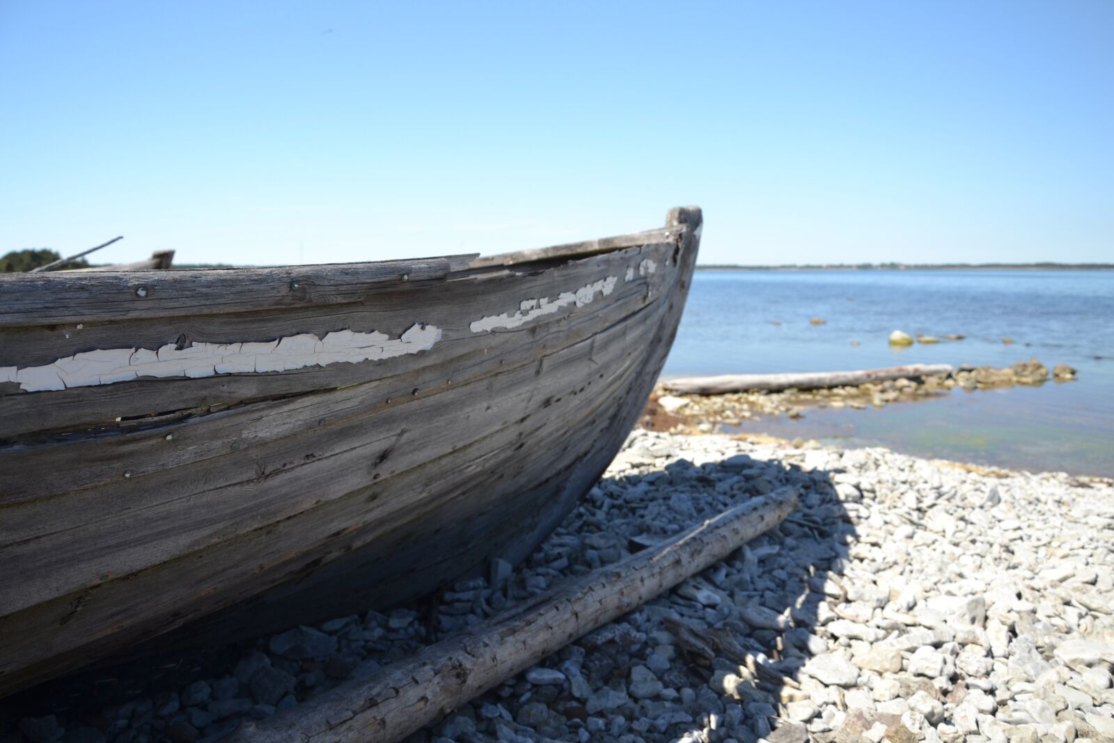 Nikon D3100 sample photo. Echo, sea, fishing photography
