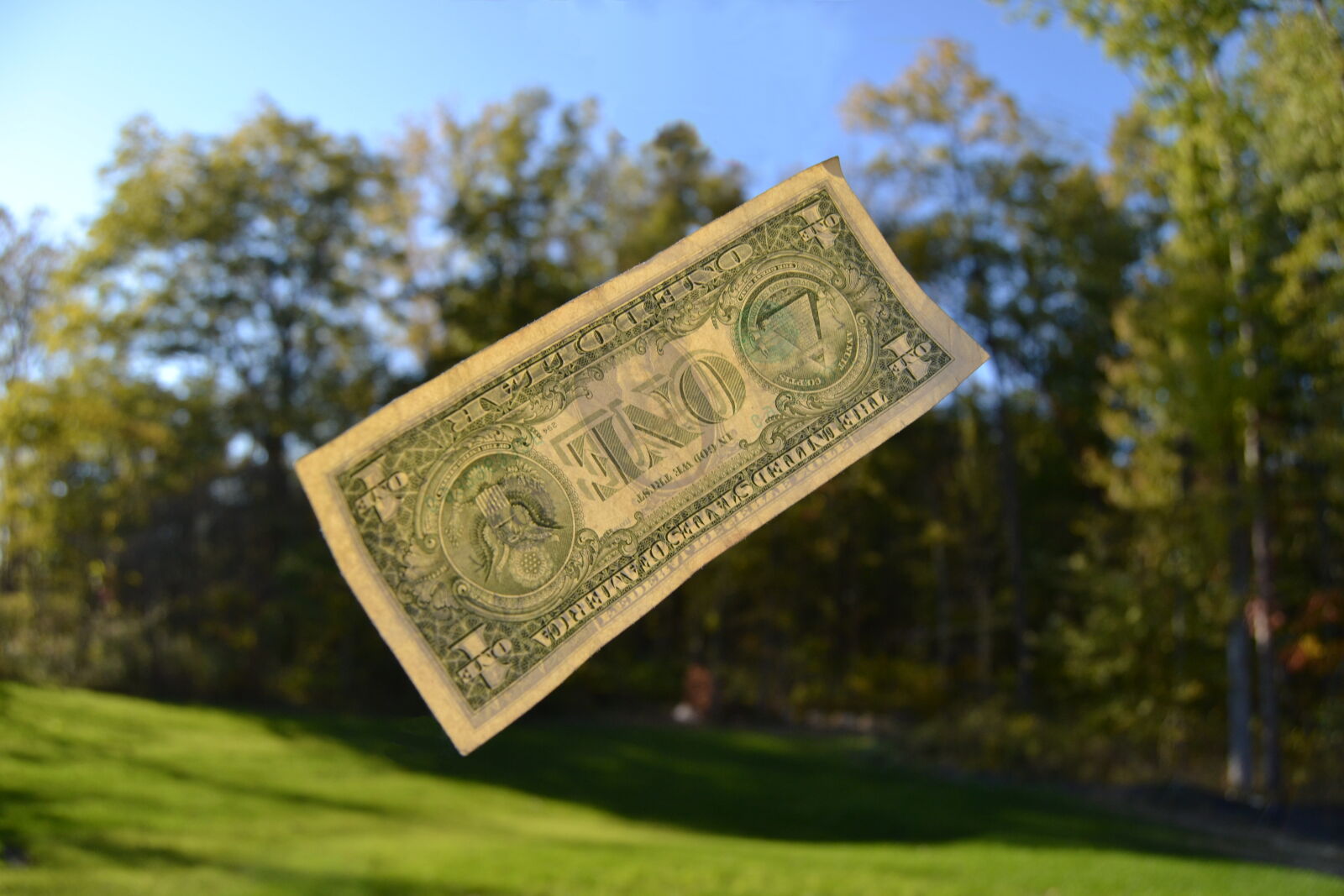 Nikon D3100 sample photo. Currency, dollars, money, paper photography