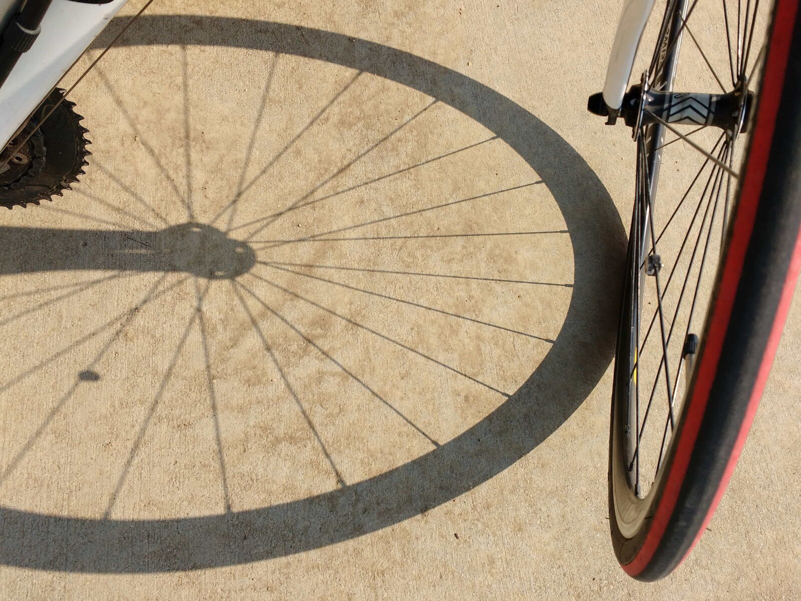 Motorola MotoG3 sample photo. Asphalt, bicycle, shadow, wheel photography