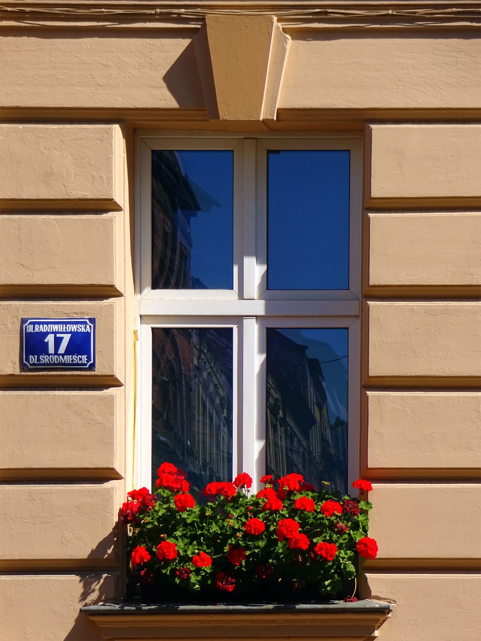Sony Cyber-shot DSC-WX220 sample photo. Window, kamienica, kraków photography