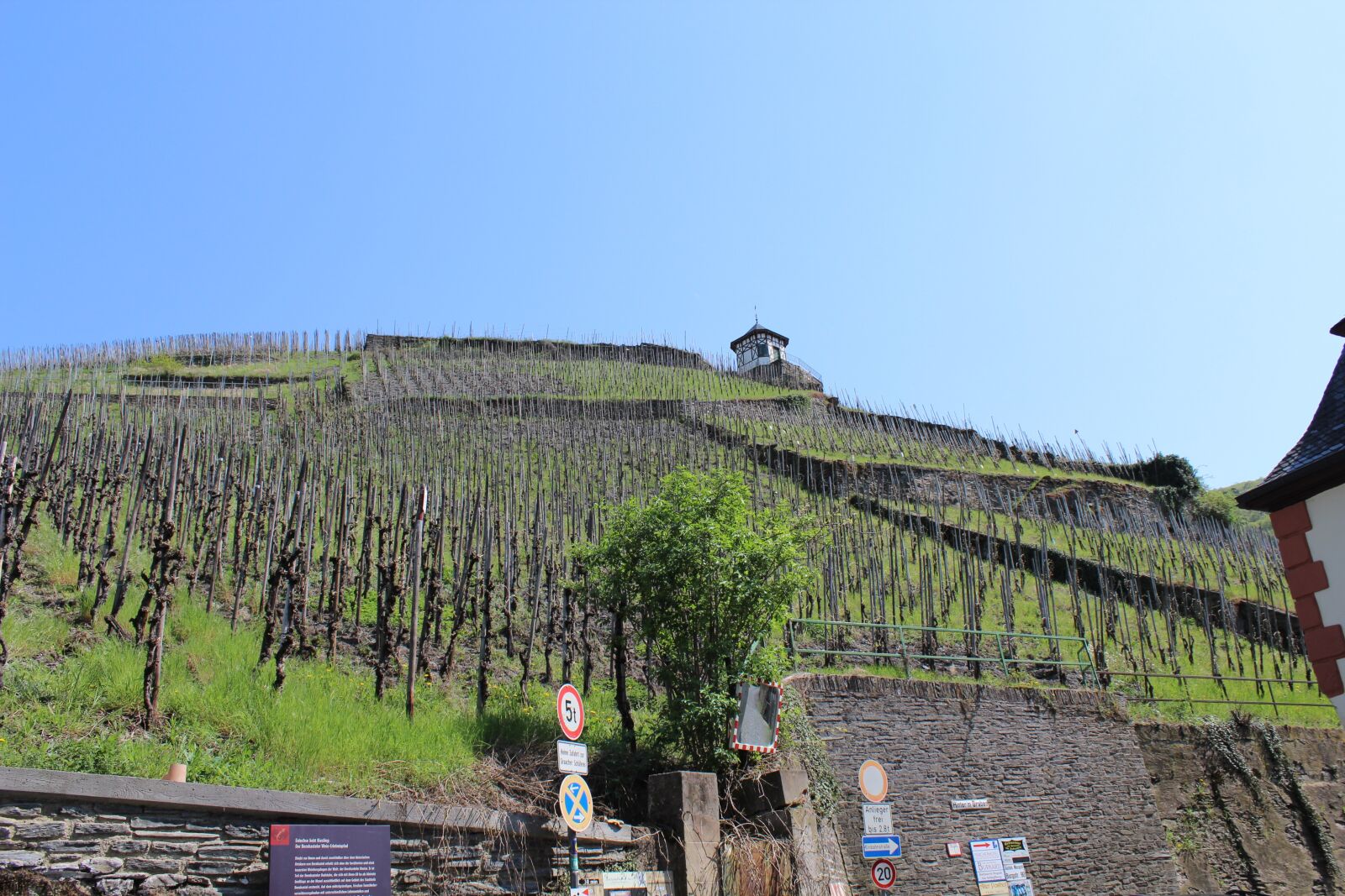 Canon EOS 600D (Rebel EOS T3i / EOS Kiss X5) sample photo. Germany, mosel, bernkastel photography
