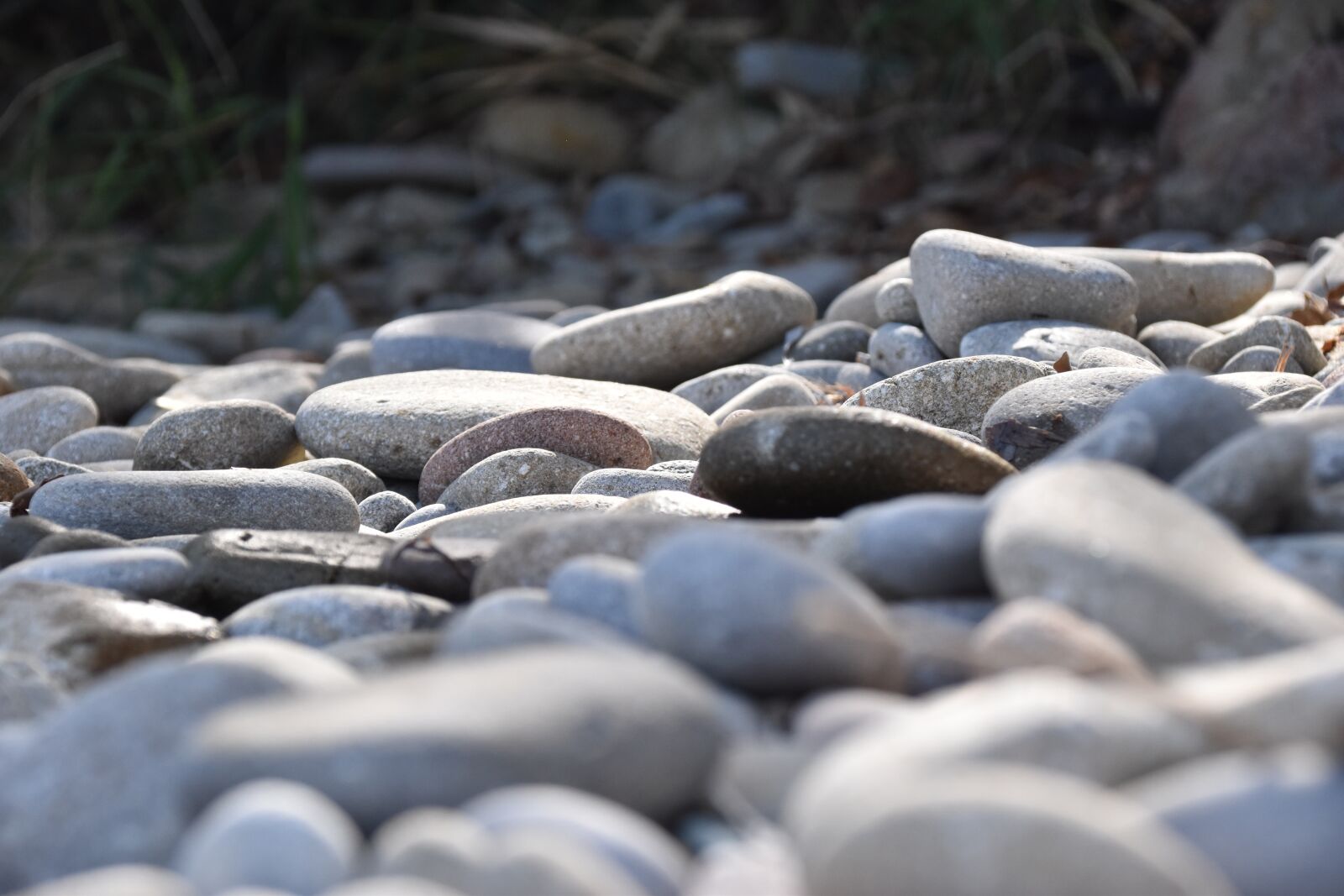 Nikon D5500 sample photo. Roller, beach, corsican photography