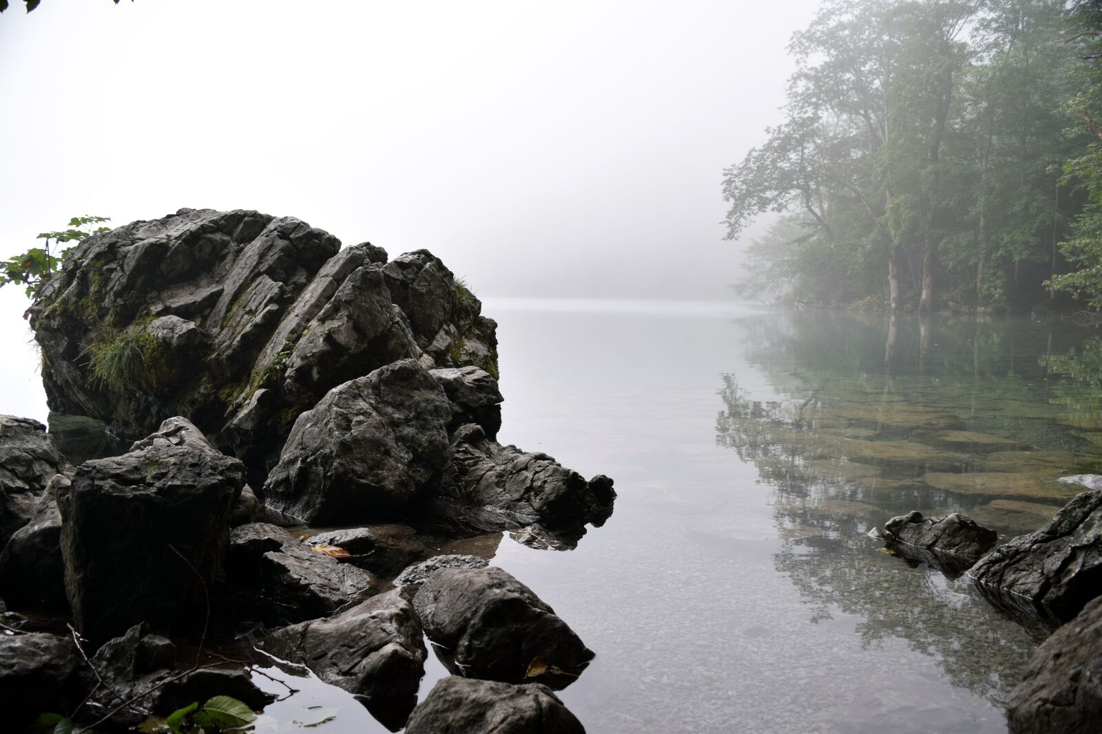 Nikon D5300 sample photo. Lake, fog, stone photography