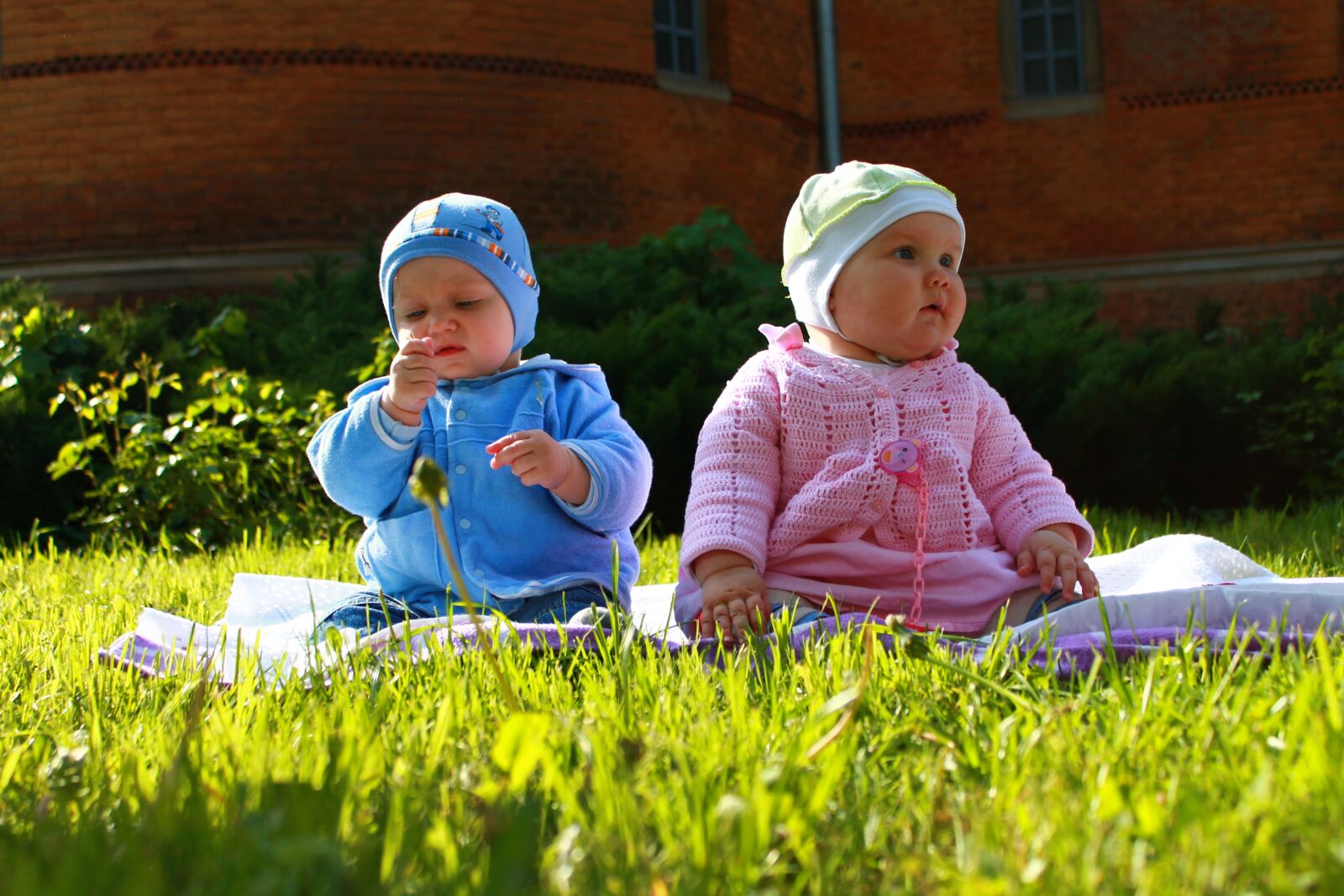 Canon EOS 1100D (EOS Rebel T3 / EOS Kiss X50) sample photo. Baby, grass, family photography